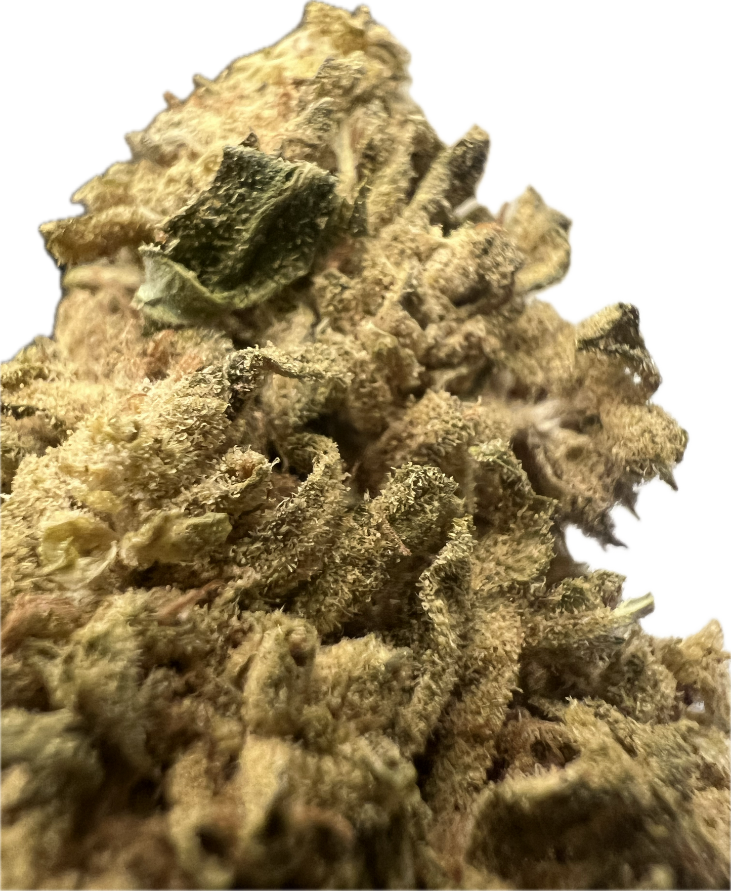 Ripkitty Sour G CBG Hemp Flowers