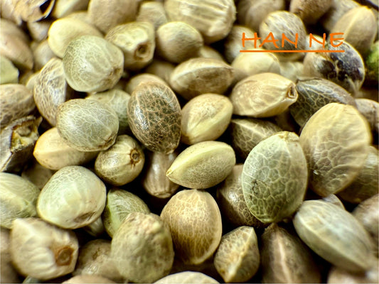Industrial Hemp Seeds: Domestic & Worldwide