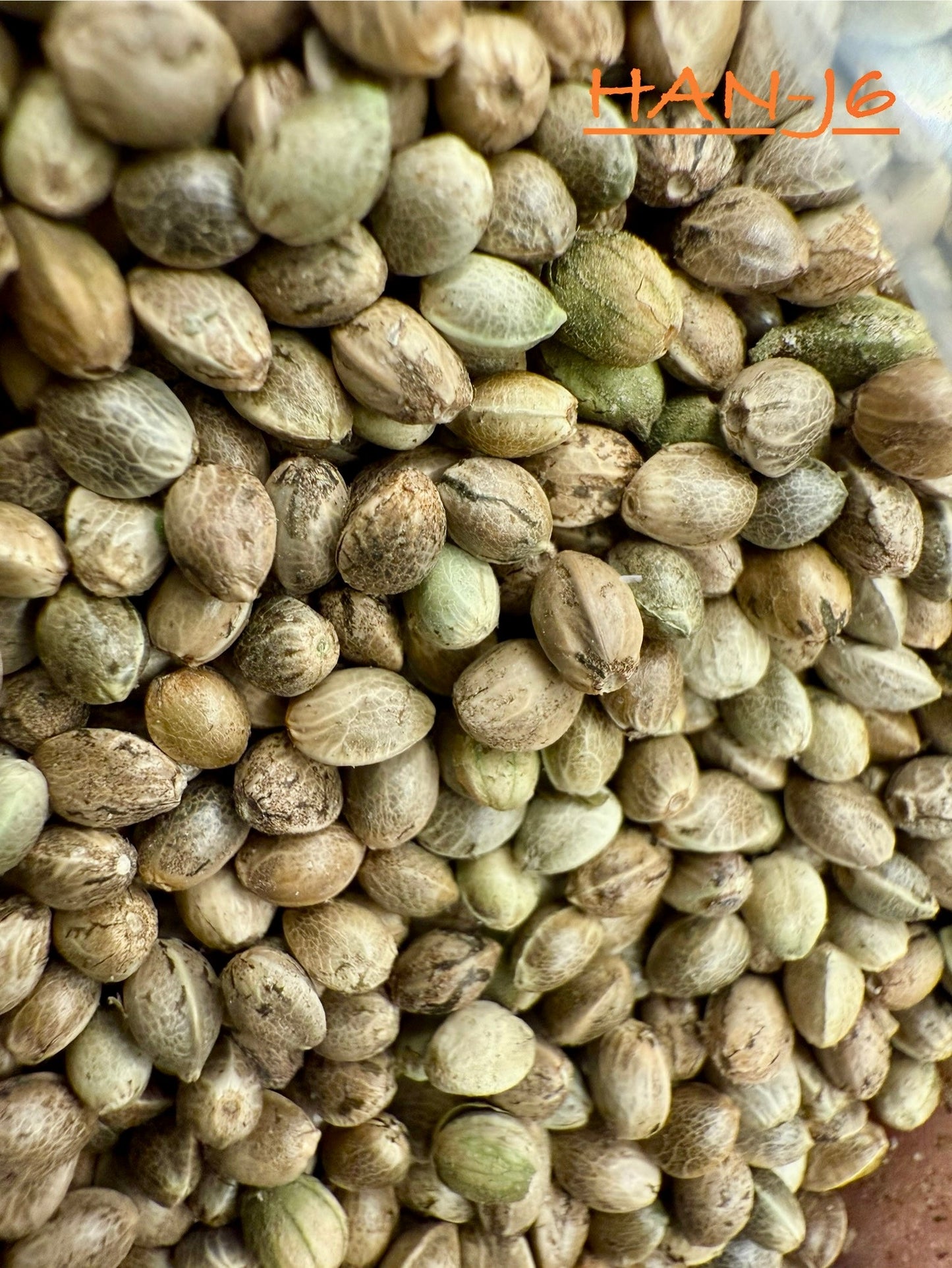 Ripkitty International & Domestic Live Raw Viable Hemp Seeds Sold in Bulk & Single Amounts for Agriculture, Poultry, Equine Feeding, & Livestock
