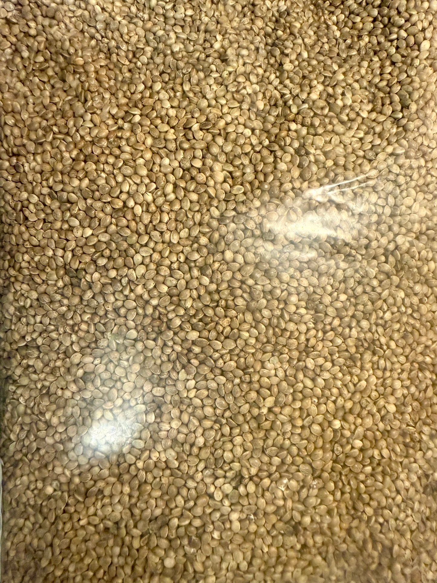 Ripkitty Premium Organic Whole Live Raw Viable Hemp Seeds