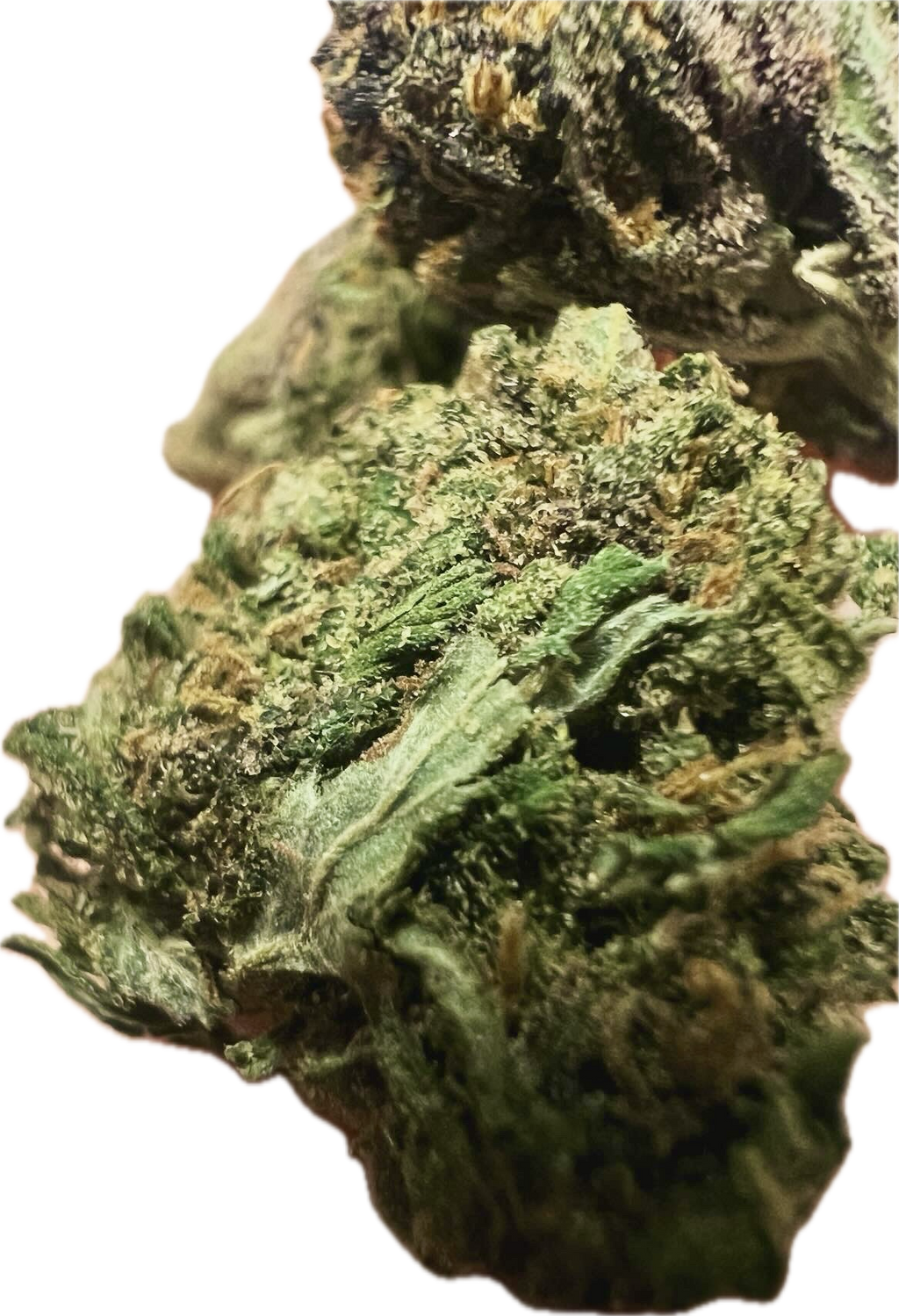 Ripkitty Pink Panther CBD Hemp Flowers