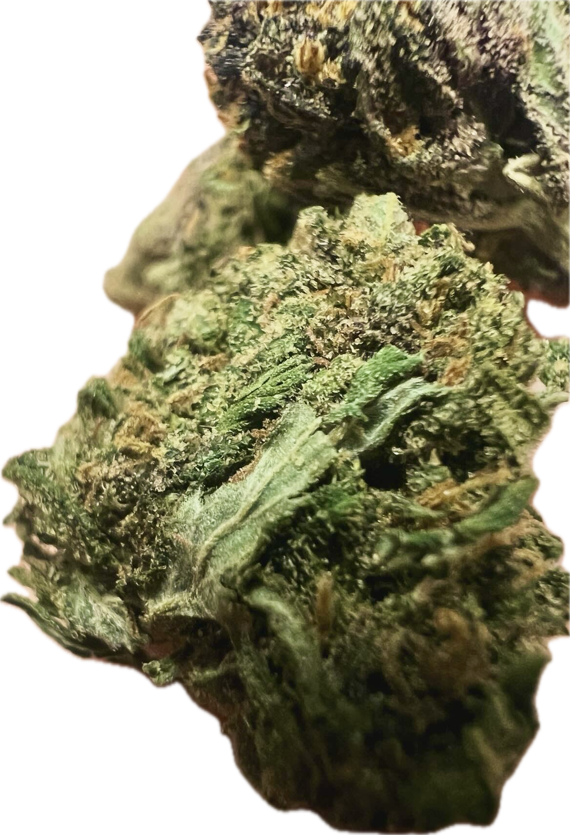 Ripkitty Pink Panther CBD Hemp Flowers