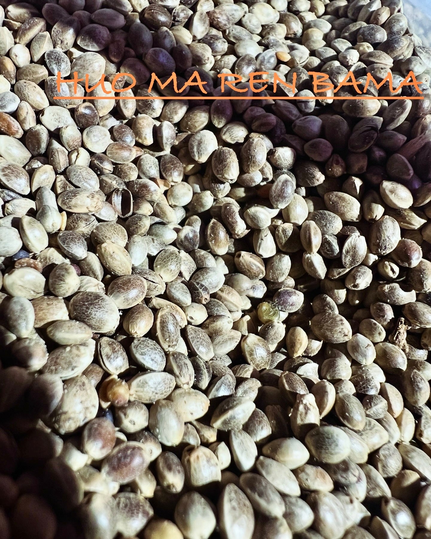 Ripkitty International & Domestic Live Raw Viable CBD Hemp Seeds Sold in Bulk & Single Amounts for Agriculture, Poultry, Equine Feeding, & Livestock