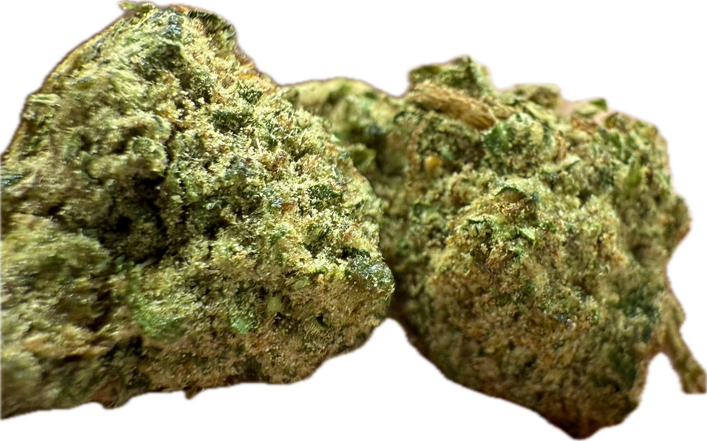 Ripkitty Rootbeer Floatz Hemp Flower