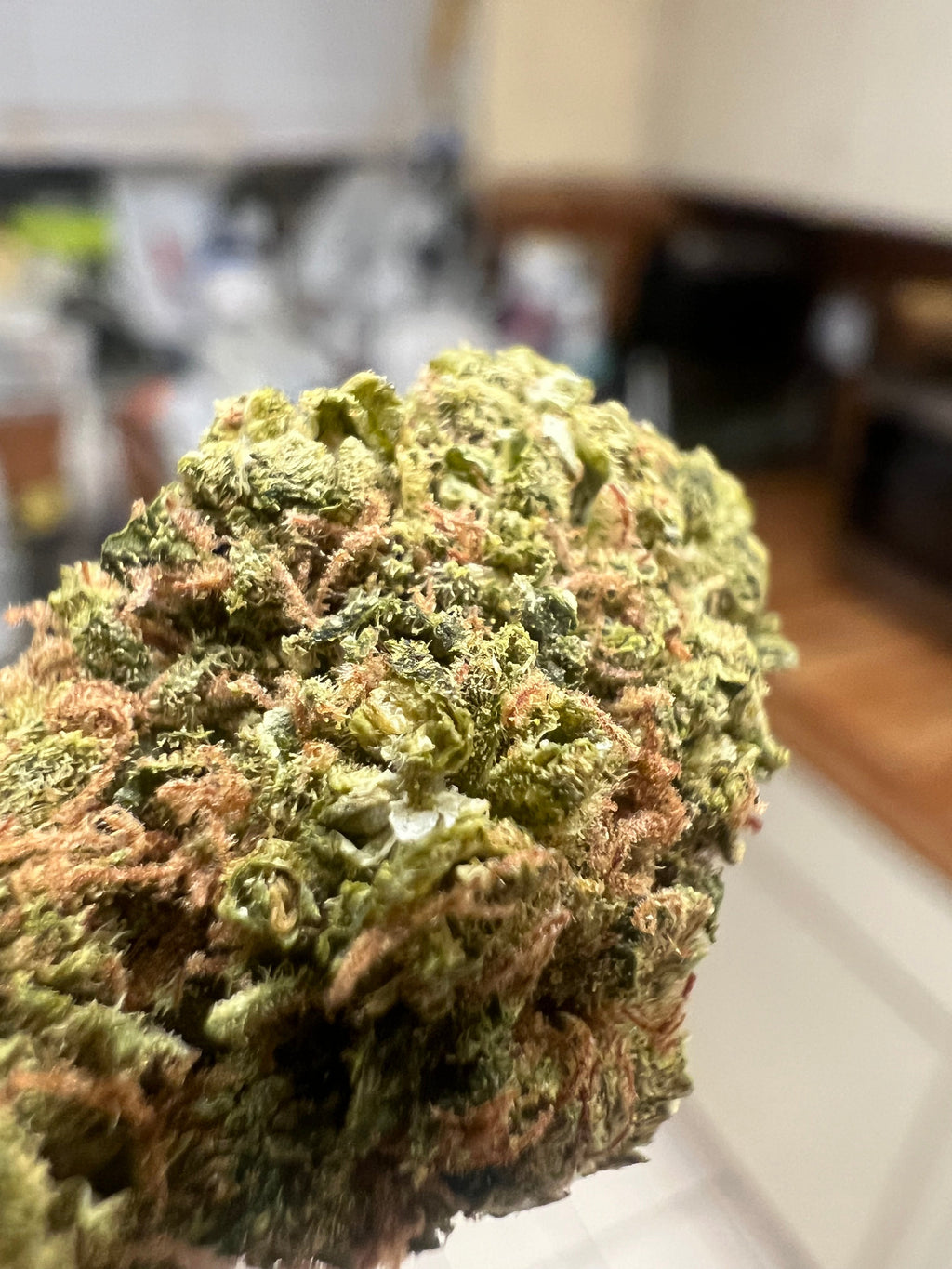 Ripkitty Cherry Abacus CBD Hemp Flower