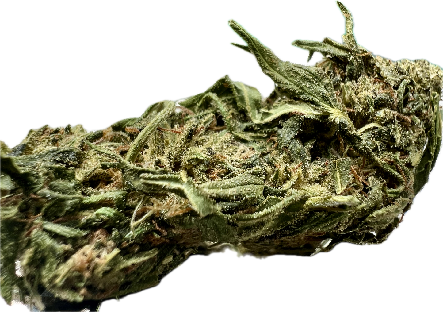 Ripkitty Forbidden V CBD Hemp Flowers