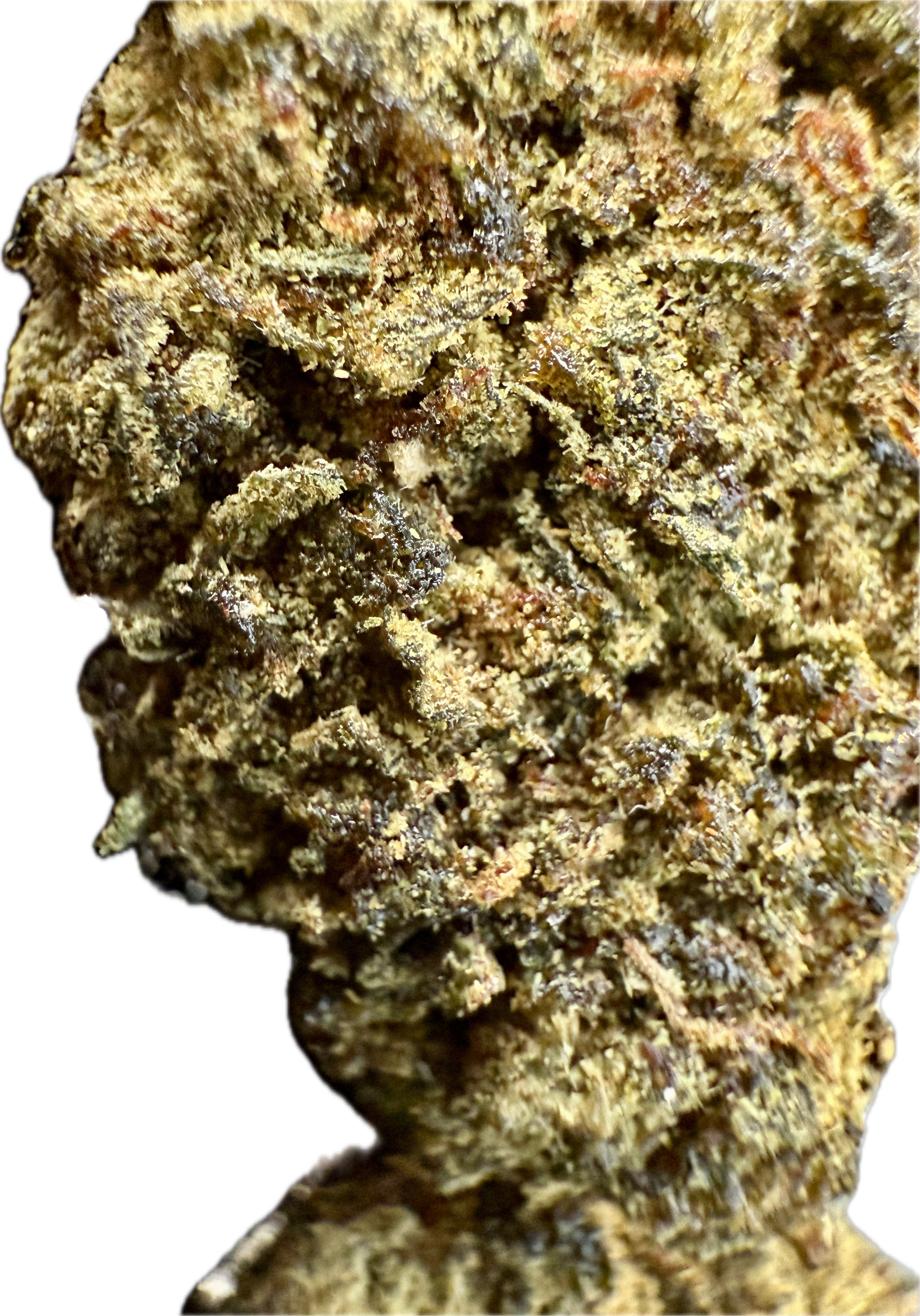 Ripkitty Sour Hawaiian Haze HHC Hemp Flowers