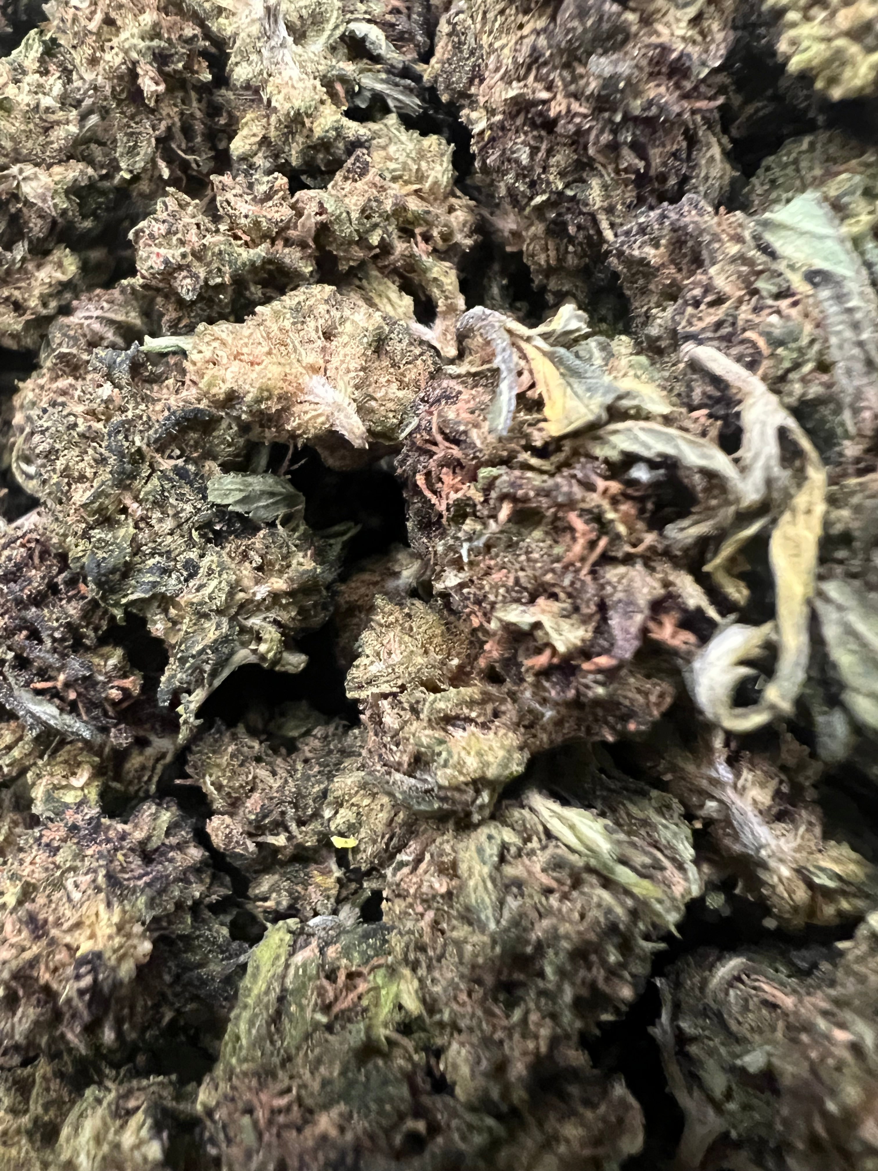 Ripkitty Abacus Diesel CBD Hemp Flowers