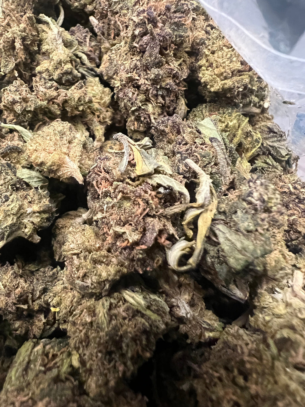 Ripkitty Abacus Diesel CBD Hemp Flowers