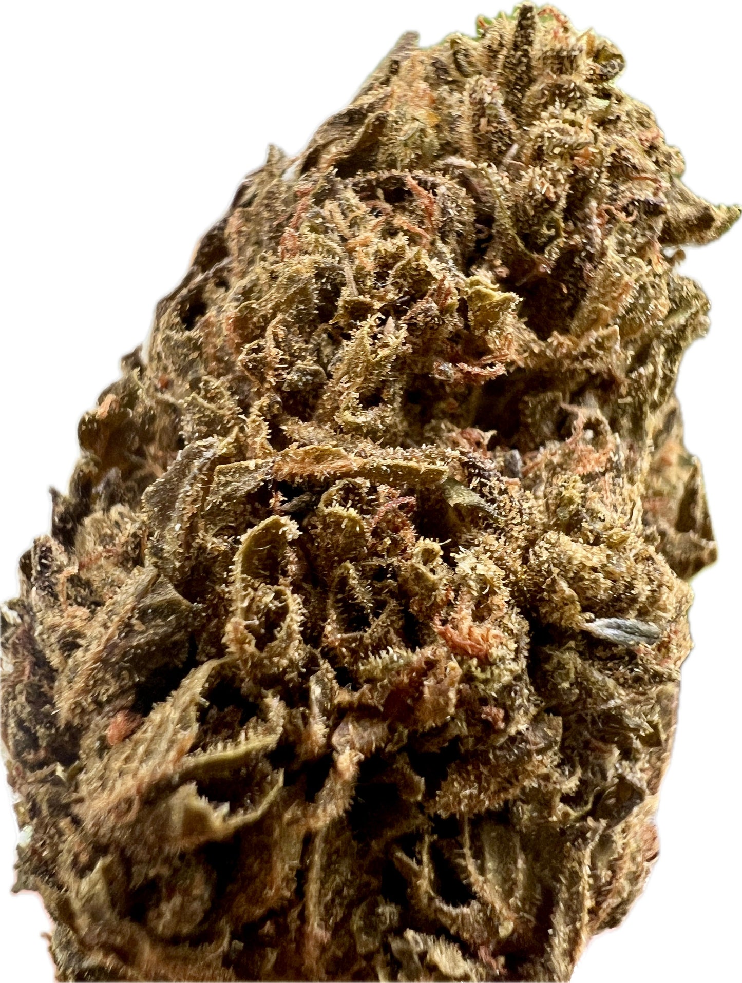 Ripkitty Jungle Driver THCA Hemp Flowers