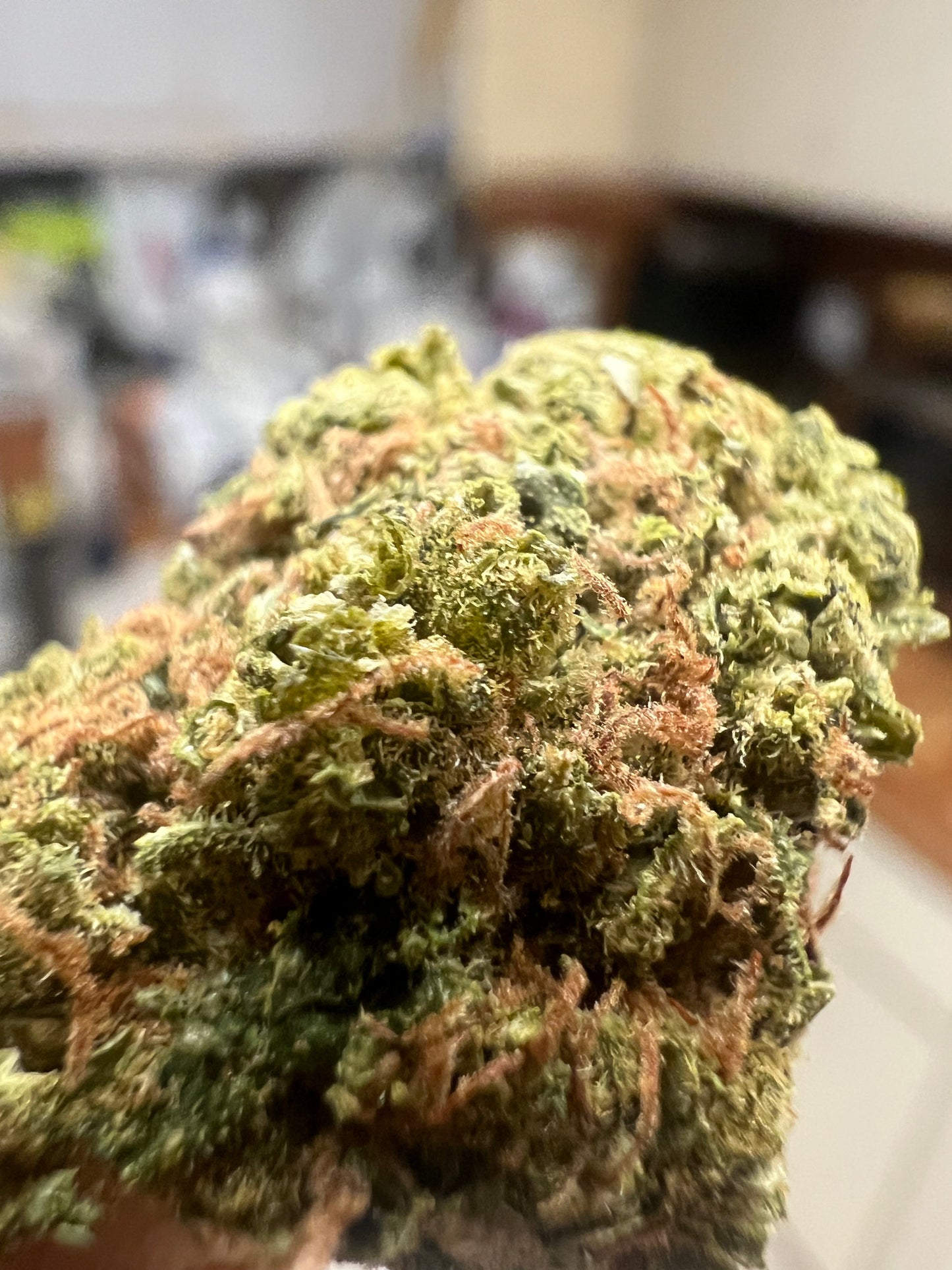 Ripkitty Cherry Abacus CBD Hemp Flower