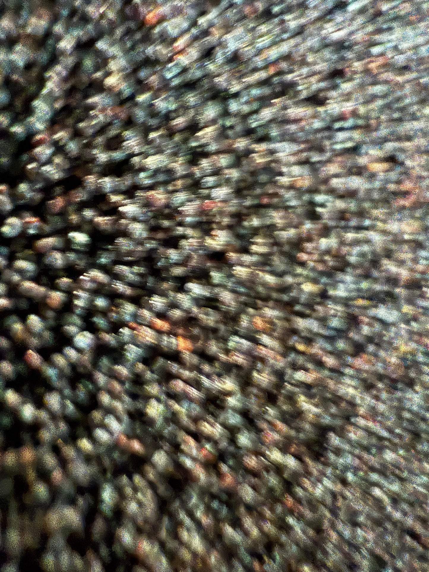 Ripkitty Premium Unwashed Untreated Unprocessed Raw Organic Natural Whole Papaver Somniferum Culinary Poppy Seeds