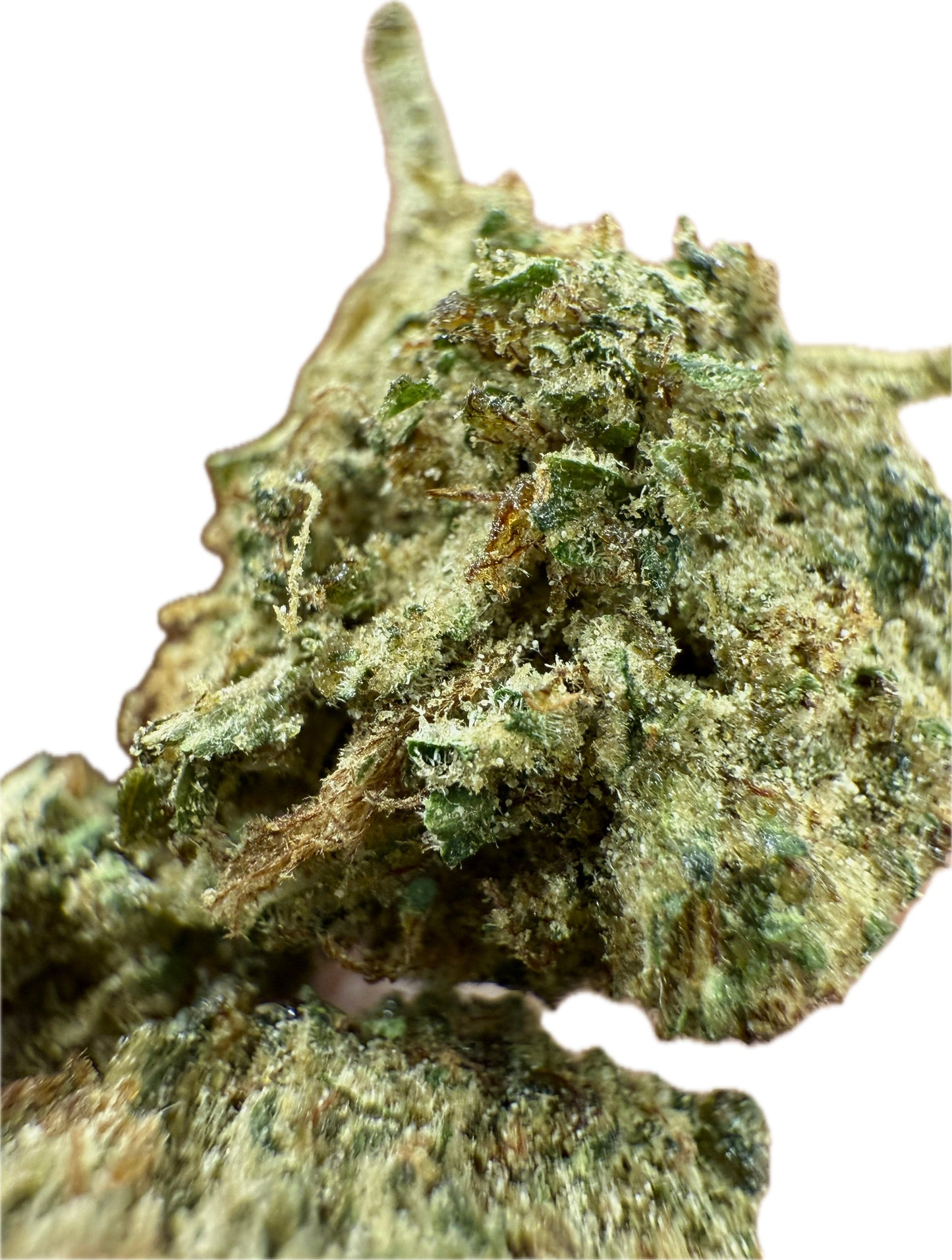 Ripkitty Rootbeer Floatz Hemp Flower