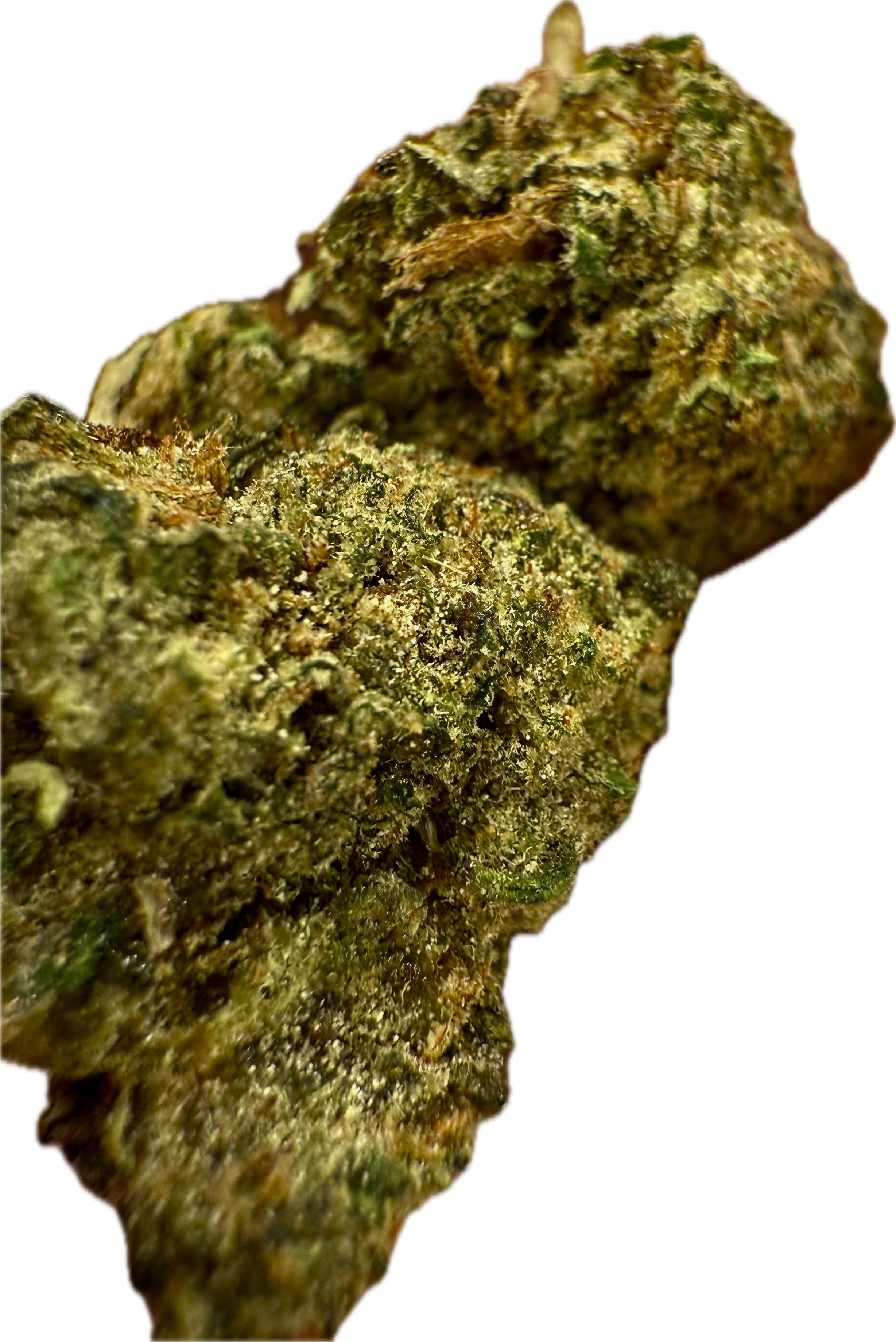 Ripkitty Rootbeer Floatz HHC Hemp Flower