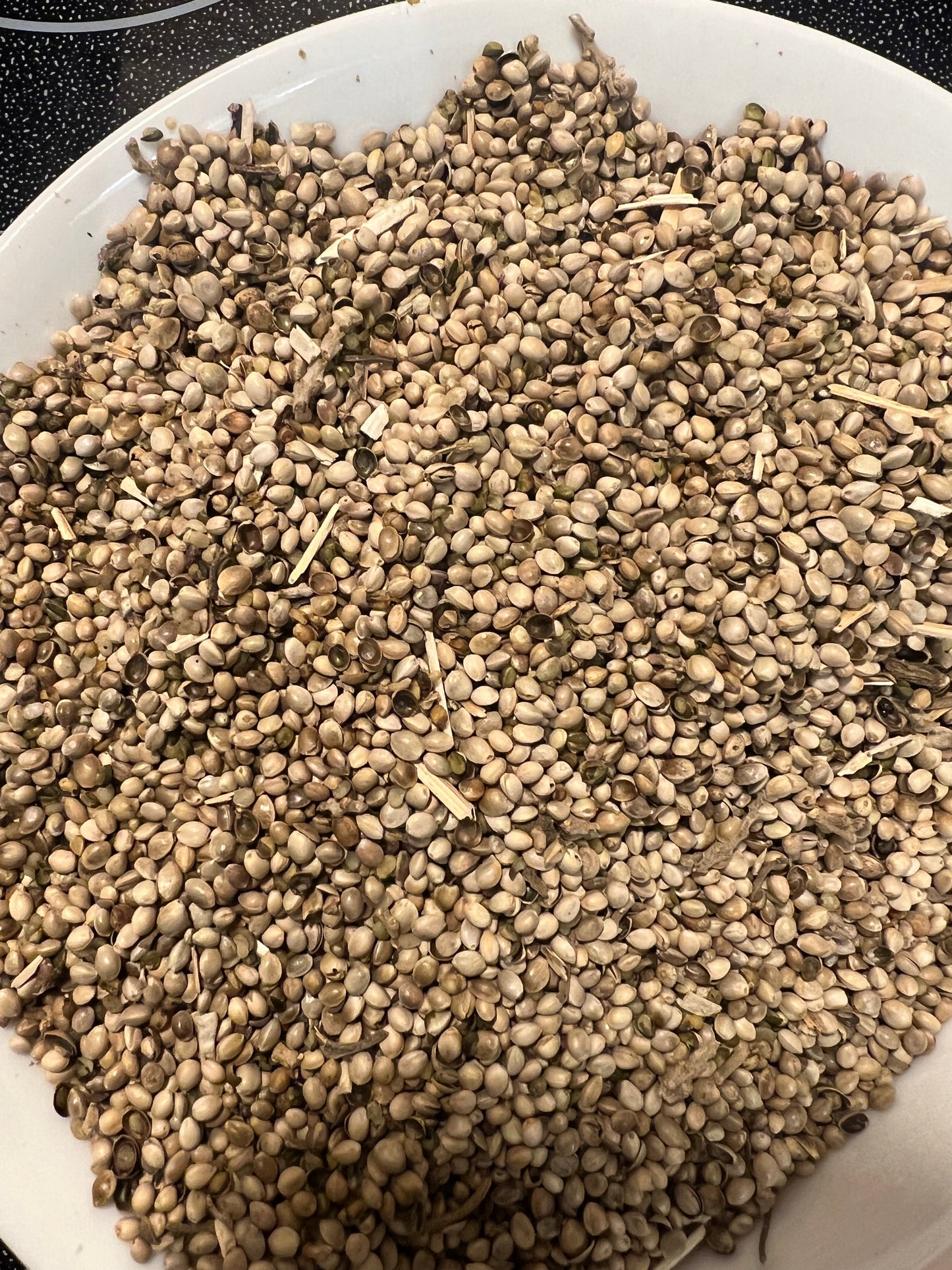 Ripkitty Premium Hemp Seeds: Avian & Equine Feed