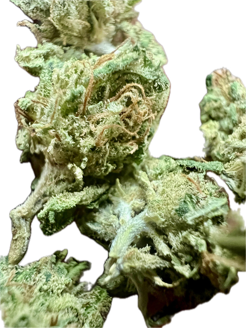 Ripkitty Sour Brûlée CBD Hemp Flowers