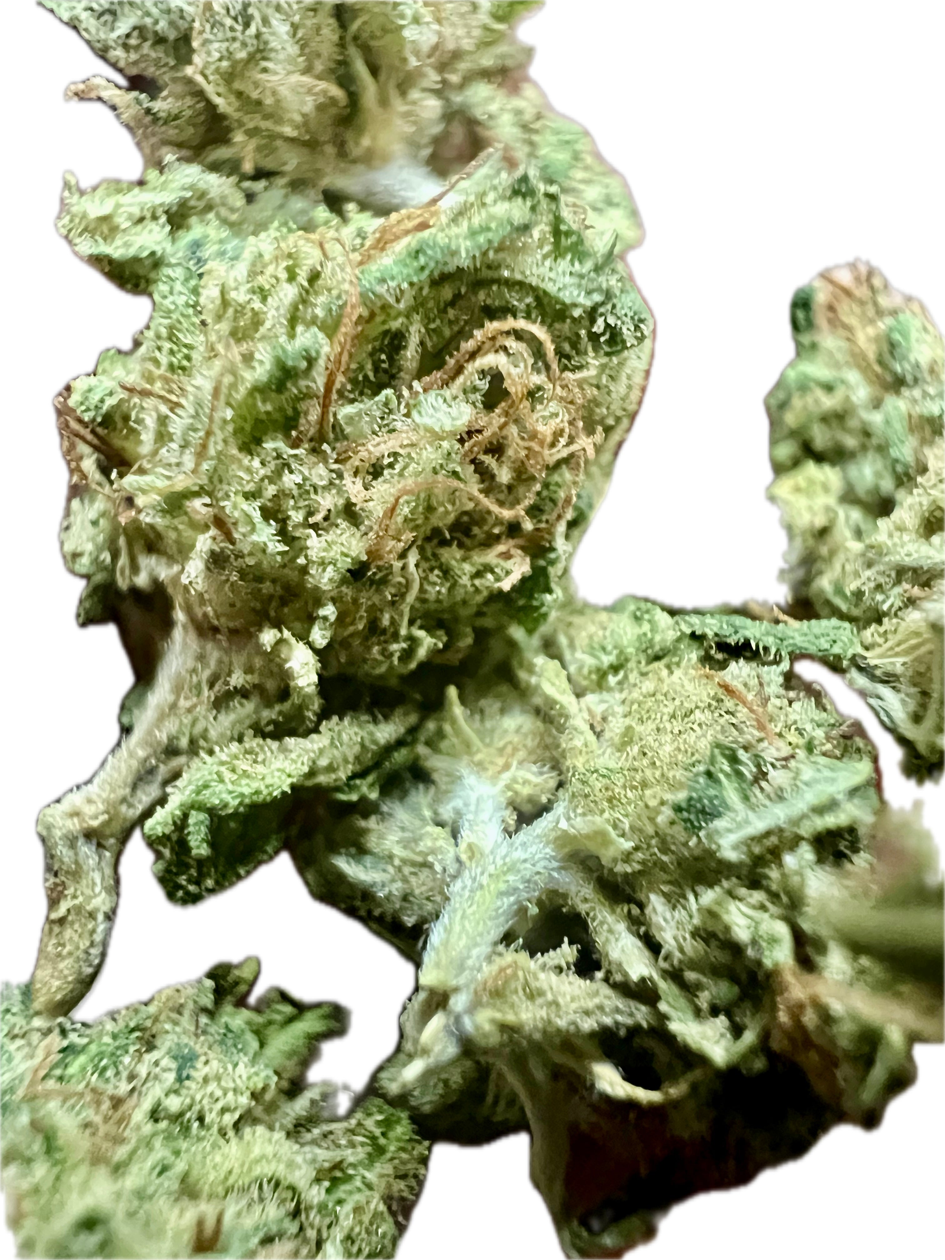 Ripkitty Sour Brûlée CBD Hemp Flowers