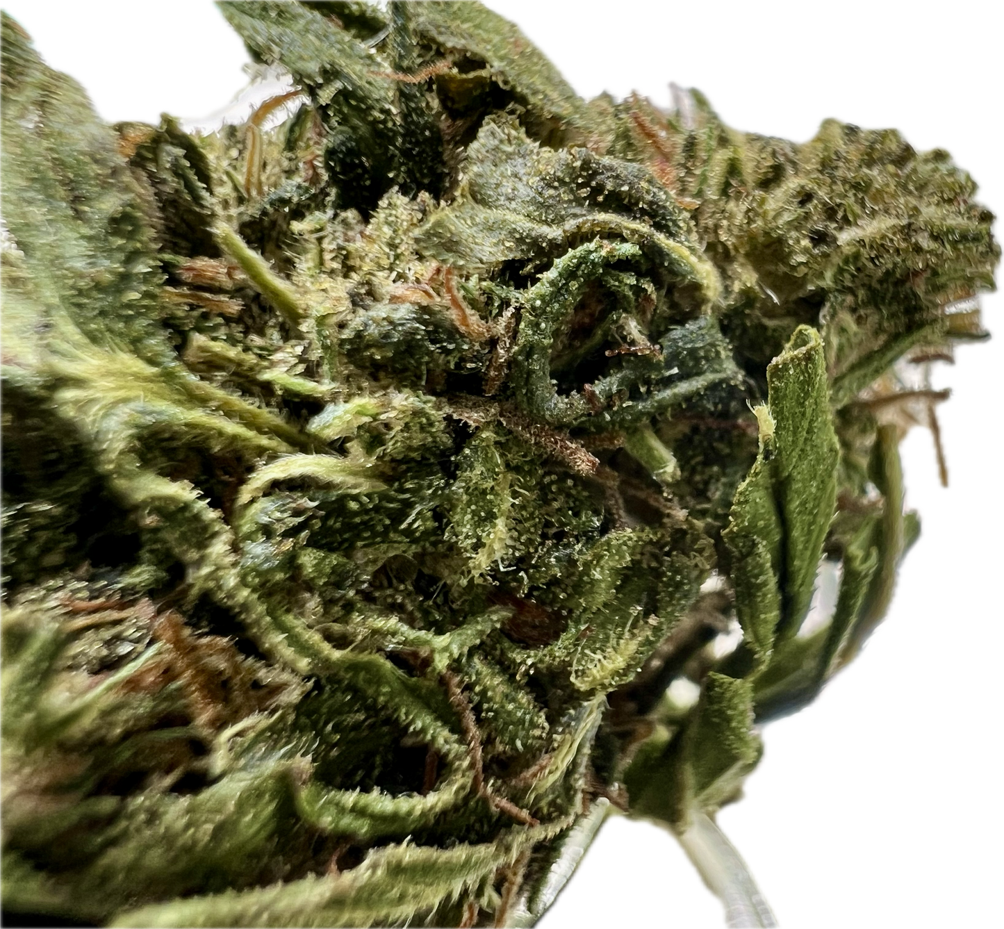 Ripkitty Forbidden V CBD Hemp Flowers