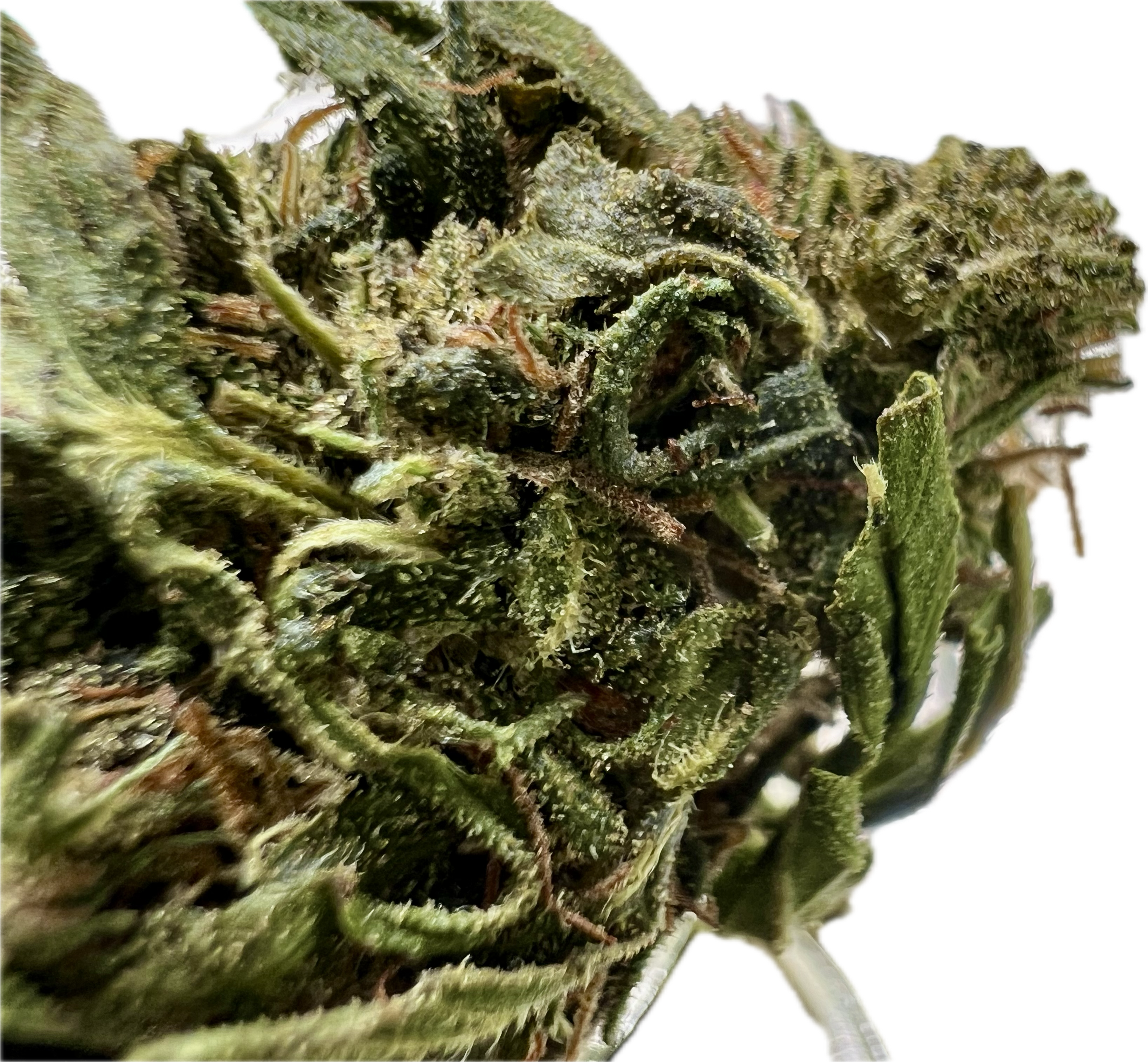 Ripkitty Forbidden V CBD Hemp Flowers