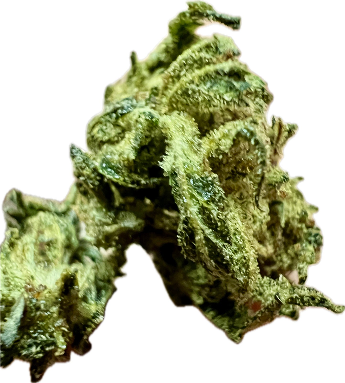 Ripkitty Sour Hawaiian Haze CBD Hemp Flowers