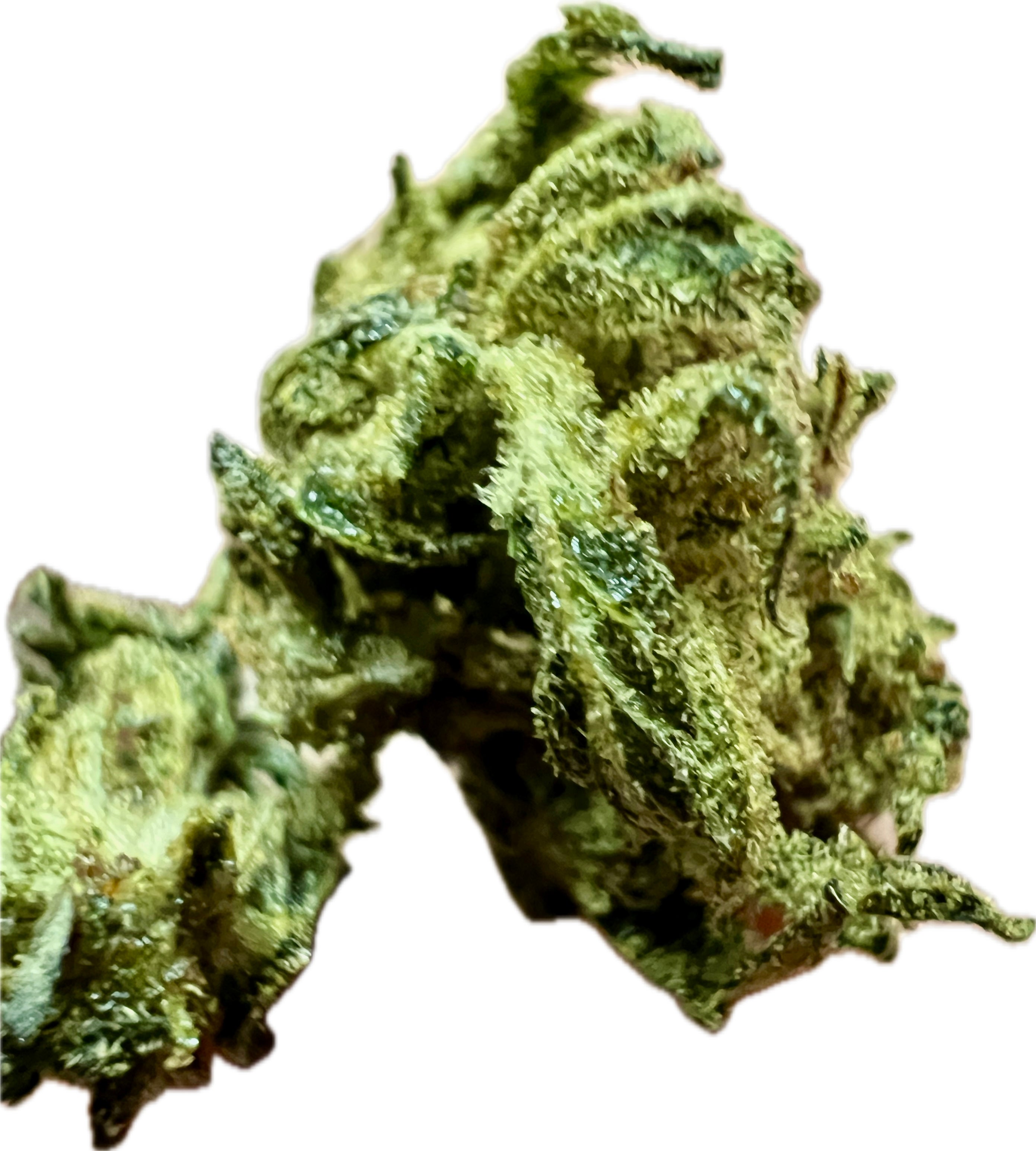 Ripkitty Sour Hawaiian Haze HHC Hemp Flowers