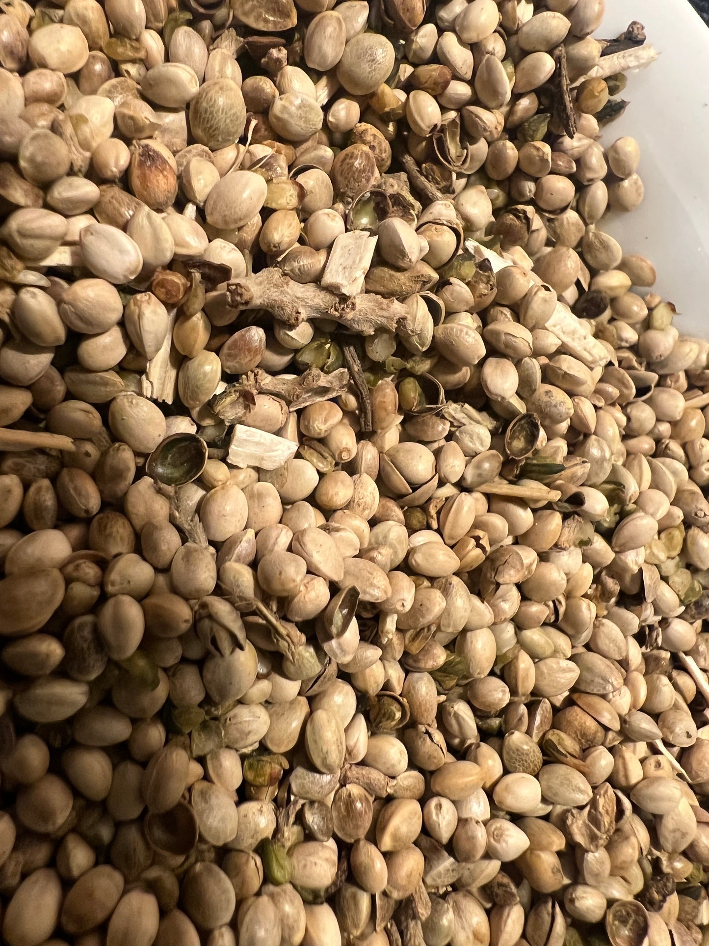 Ripkitty Premium Hemp Seeds: Avian & Equine Feed