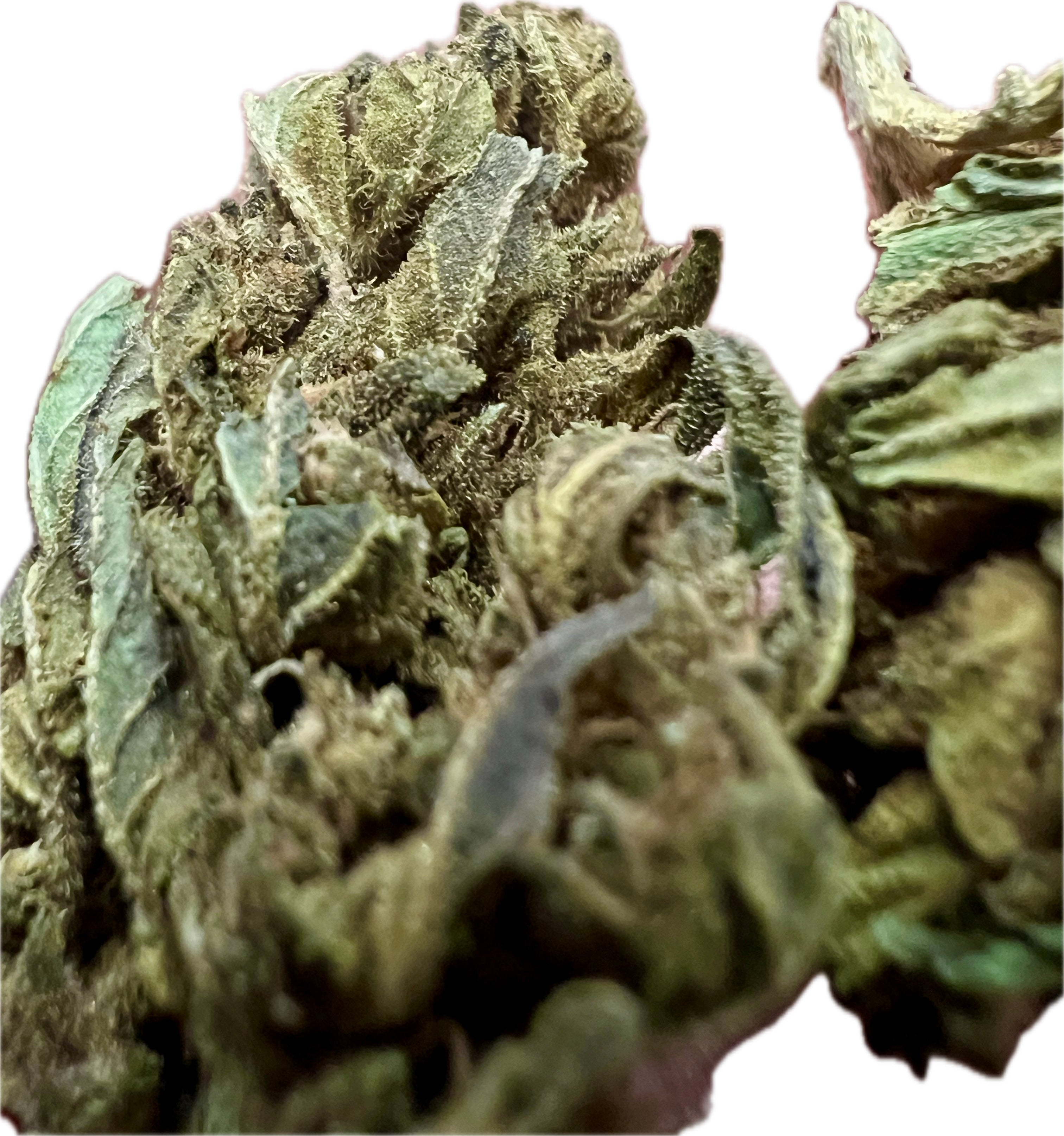 Ripkitty Mixed THCA Hemp Flowers