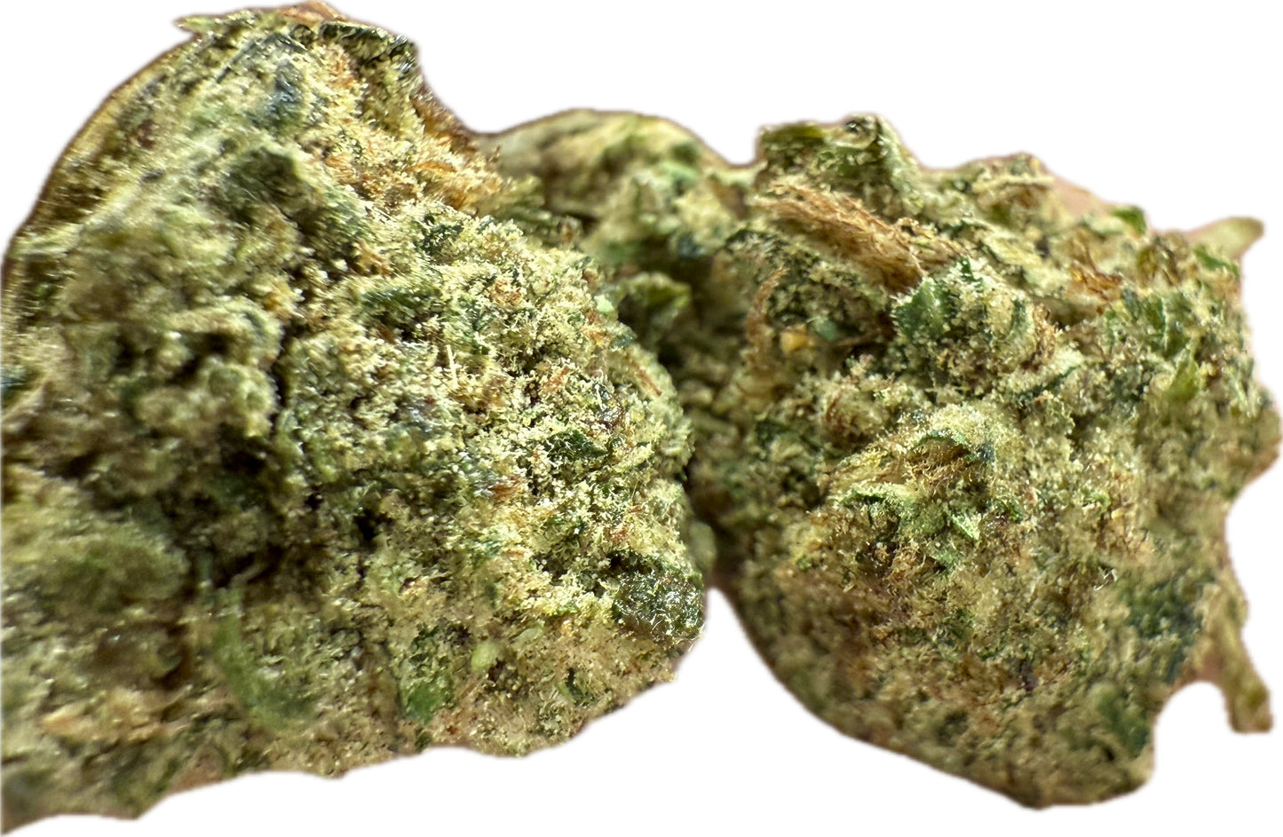 Ripkitty Rootbeer Floatz Hemp Flower