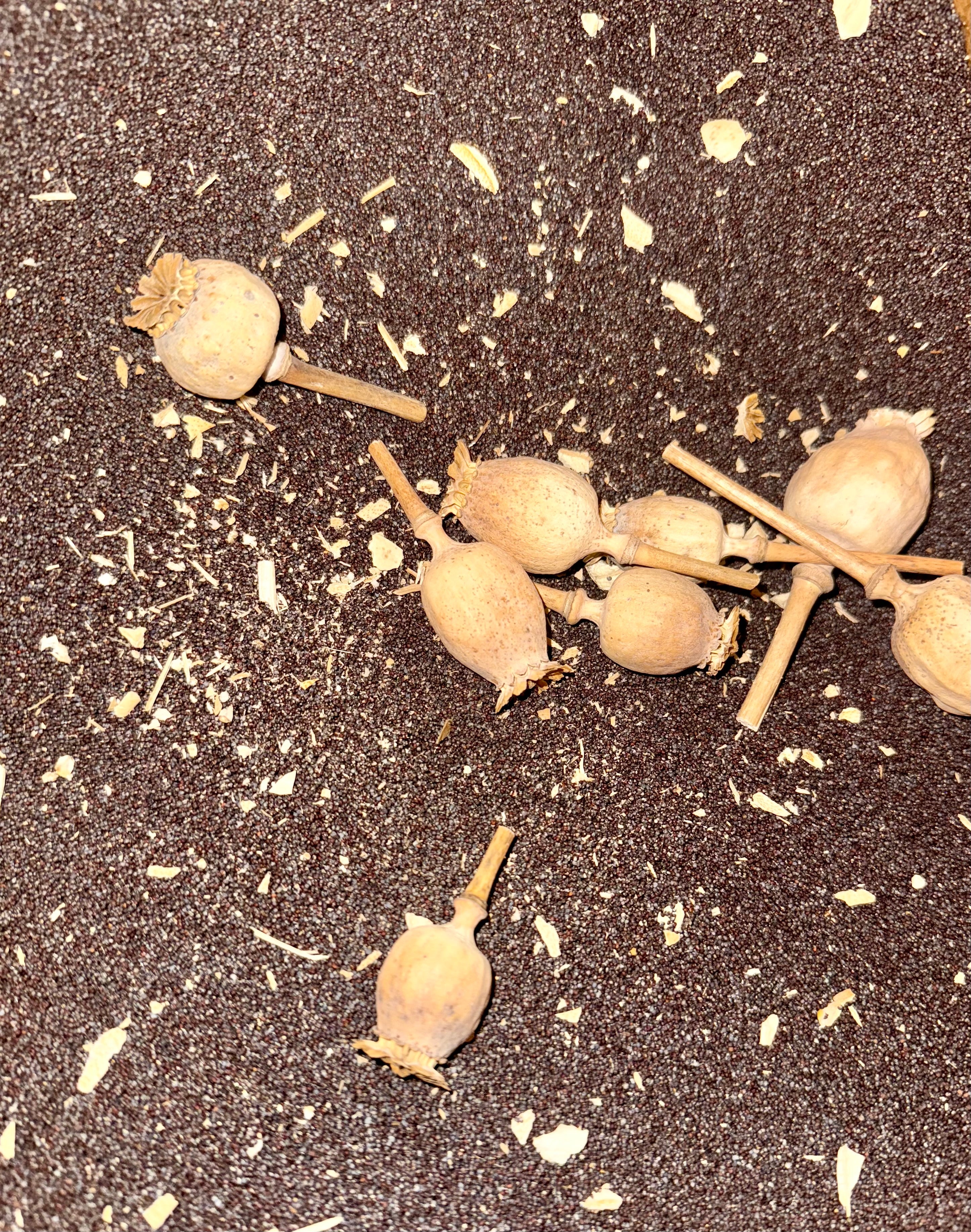 Ripkitty Premium Unwashed Untreated Unprocessed Raw Organic Natural Whole Papaver Somniferum Culinary Poppy Seeds