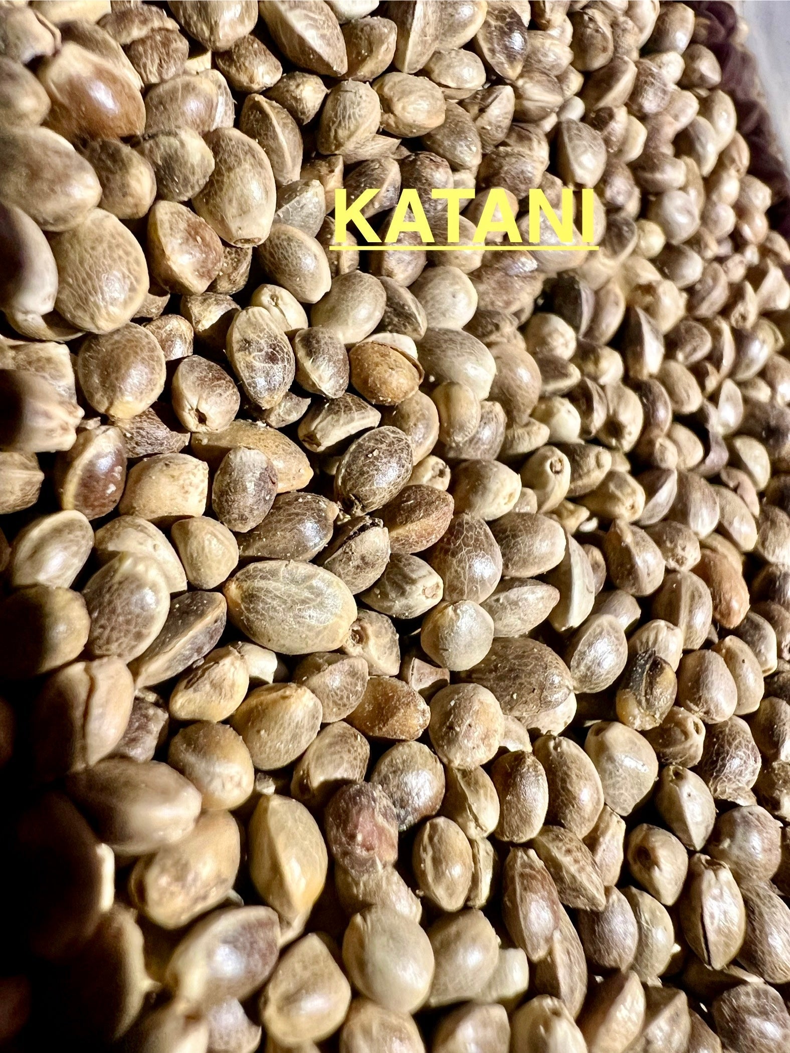 Ripkitty International & Domestic Live Raw Viable CBD Hemp Seeds Sold in Bulk & Single Amounts for Agriculture, Poultry, Equine Feeding, & Livestock