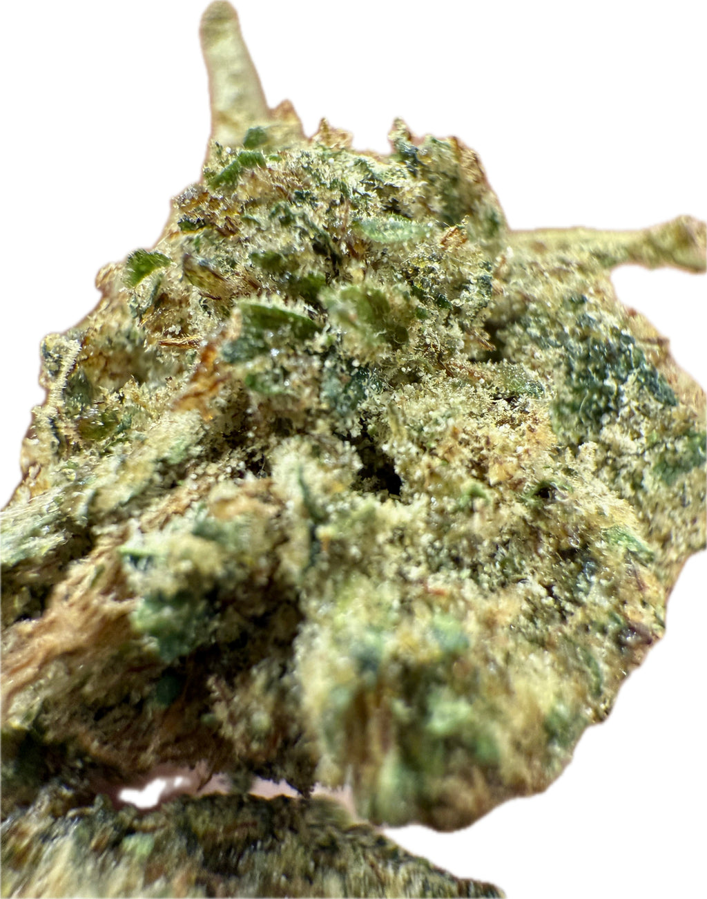 Ripkitty Rootbeer Floatz HHC Hemp Flower