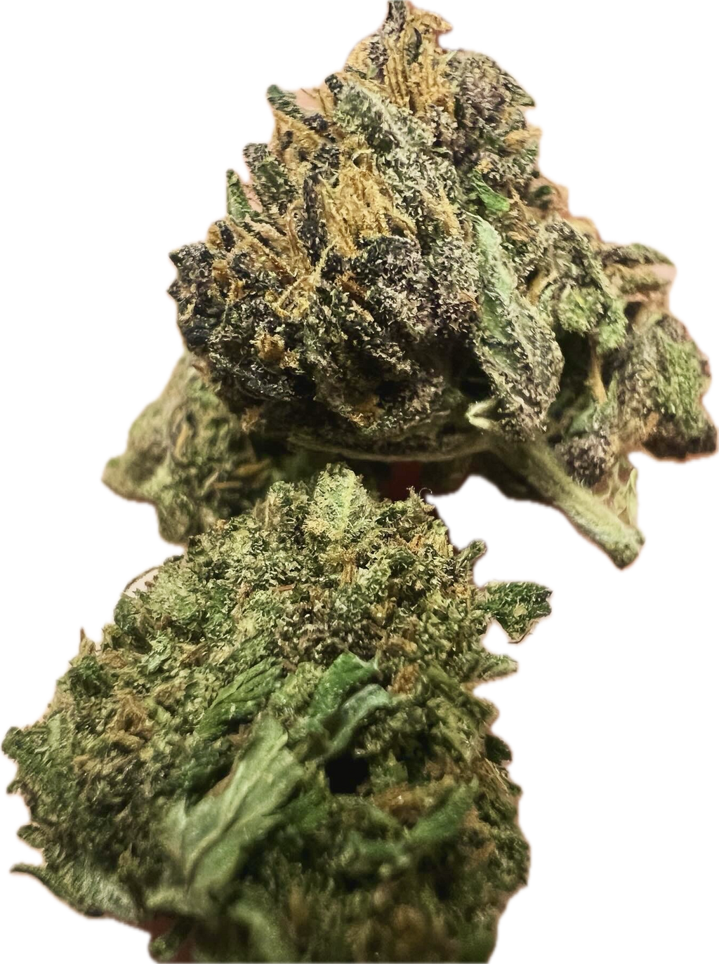 Ripkitty Pink Panther CBD Hemp Flowers