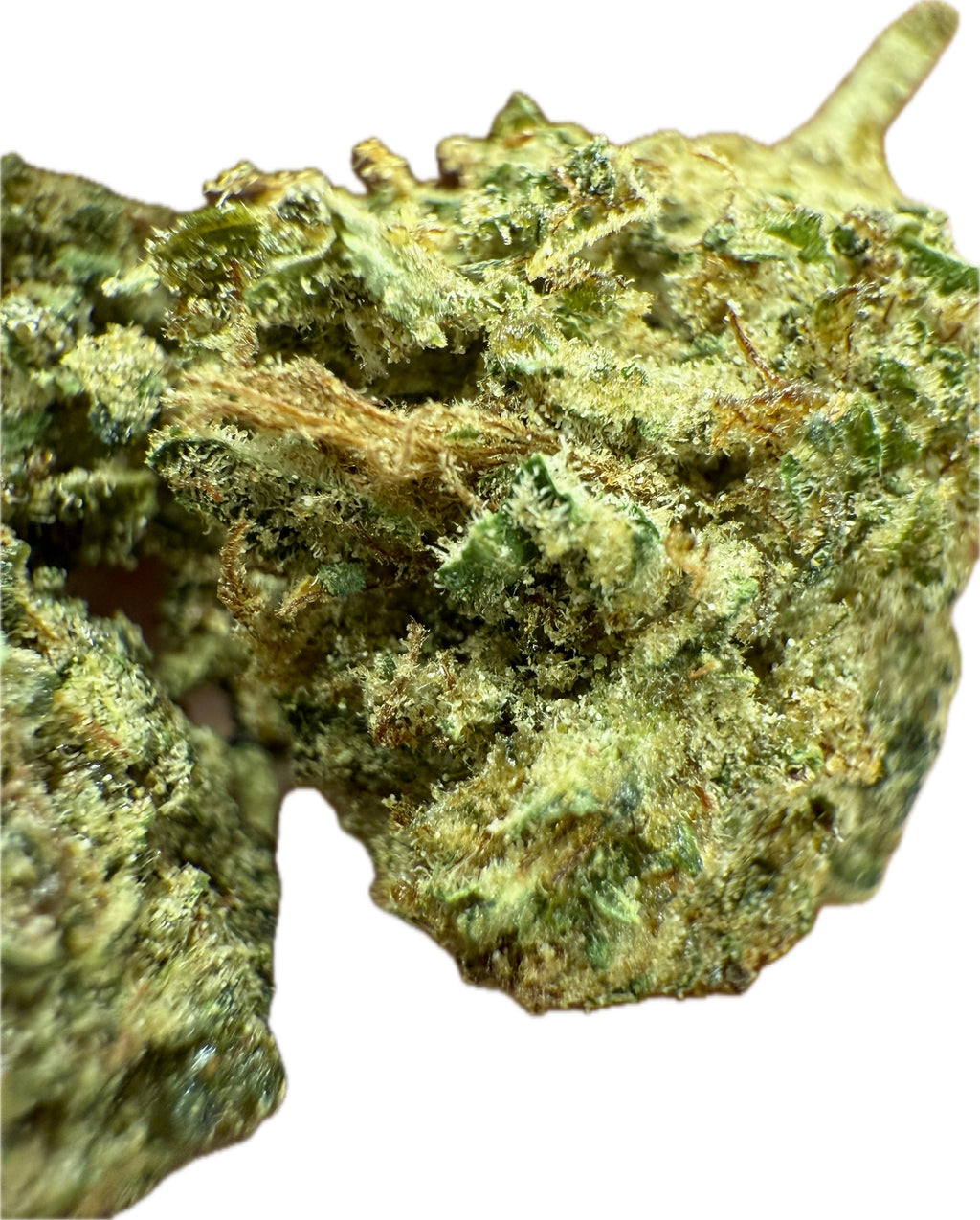 Ripkitty Rootbeer Floatz HHC Hemp Flower