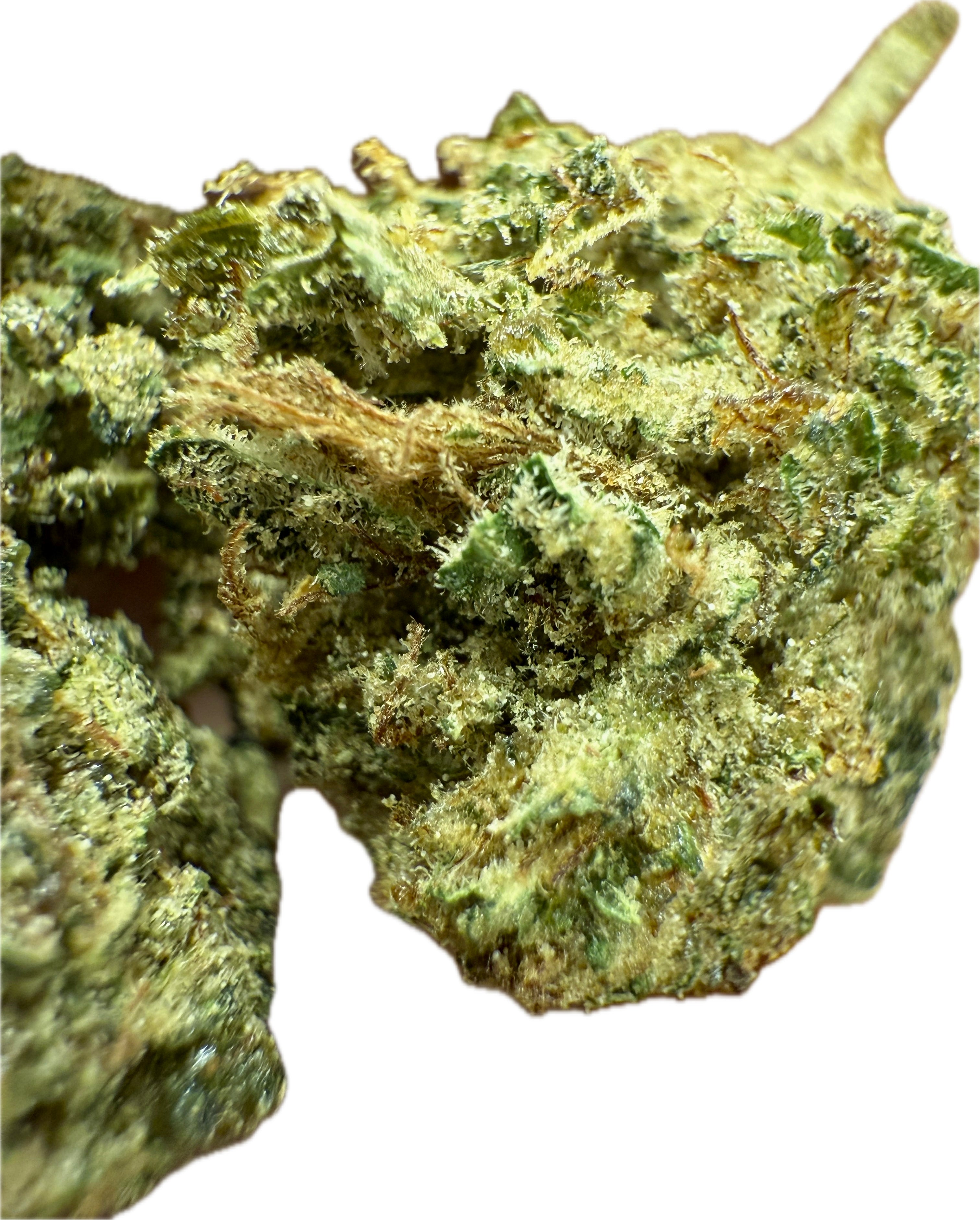 Ripkitty Rootbeer Floatz HHC Hemp Flower