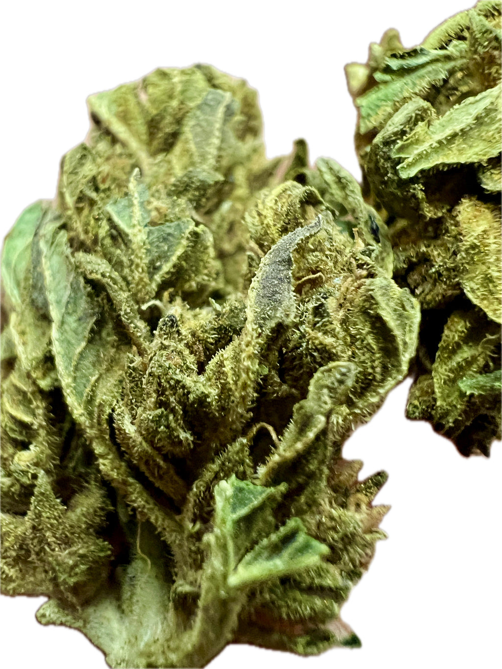 Ripkitty Mixed THCA Hemp Flowers