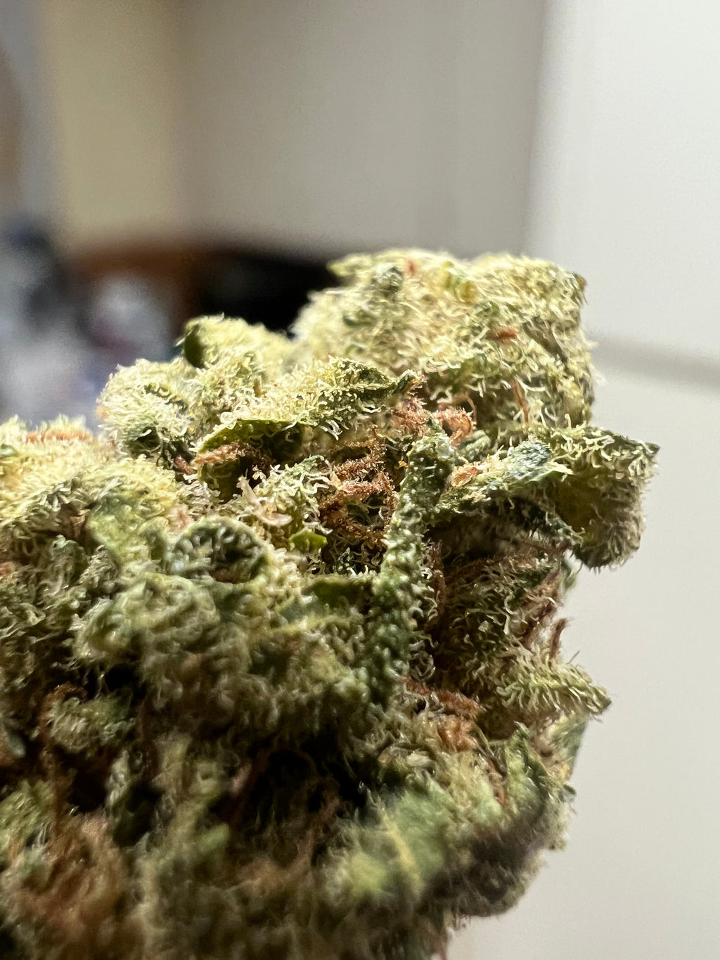 Ripkitty Suver Haze CBD Hemp Flowers