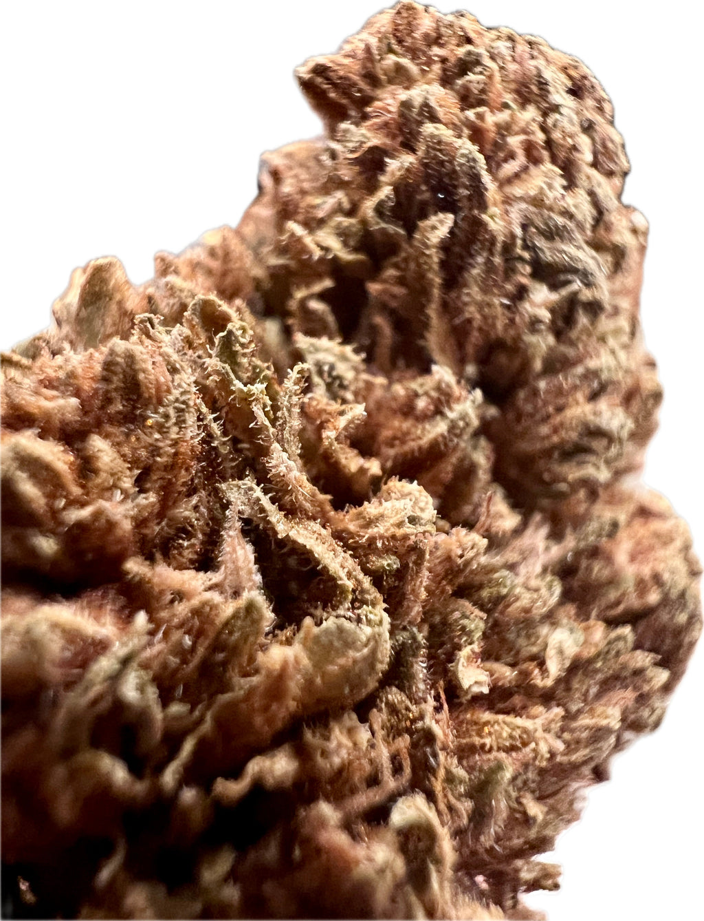 Ripkitty Mixed THCA Hemp Flowers