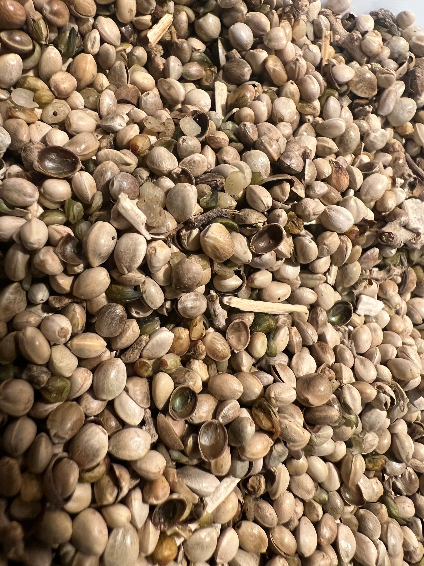 Ripkitty Premium Hemp Seeds: Avian & Equine Feed