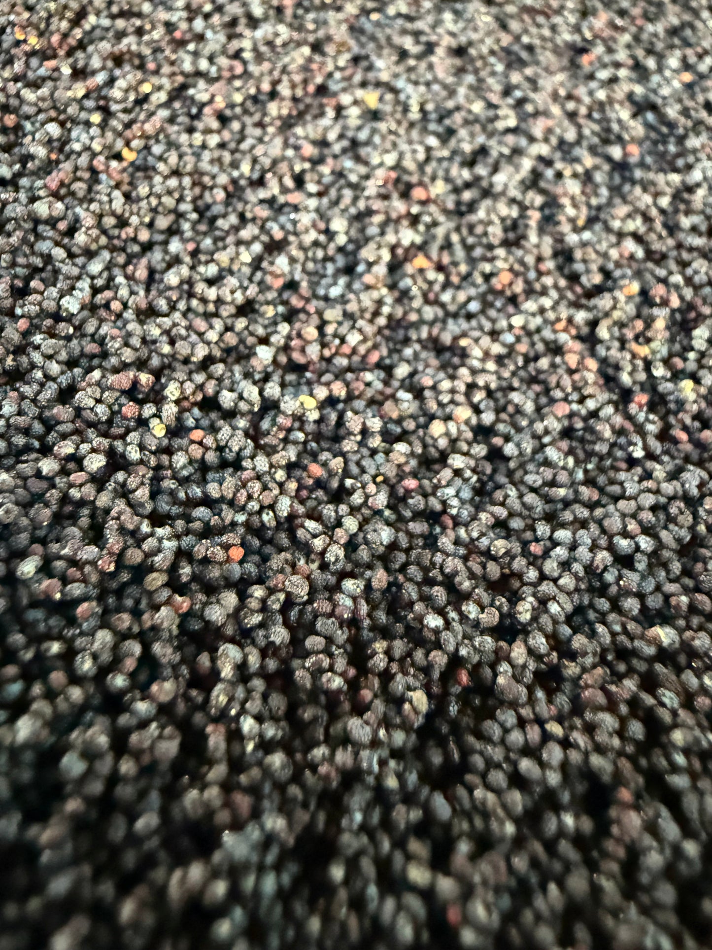 Ripkitty Premium Unwashed Untreated Unprocessed Raw Organic Natural Whole Papaver Somniferum Culinary Poppy Seeds