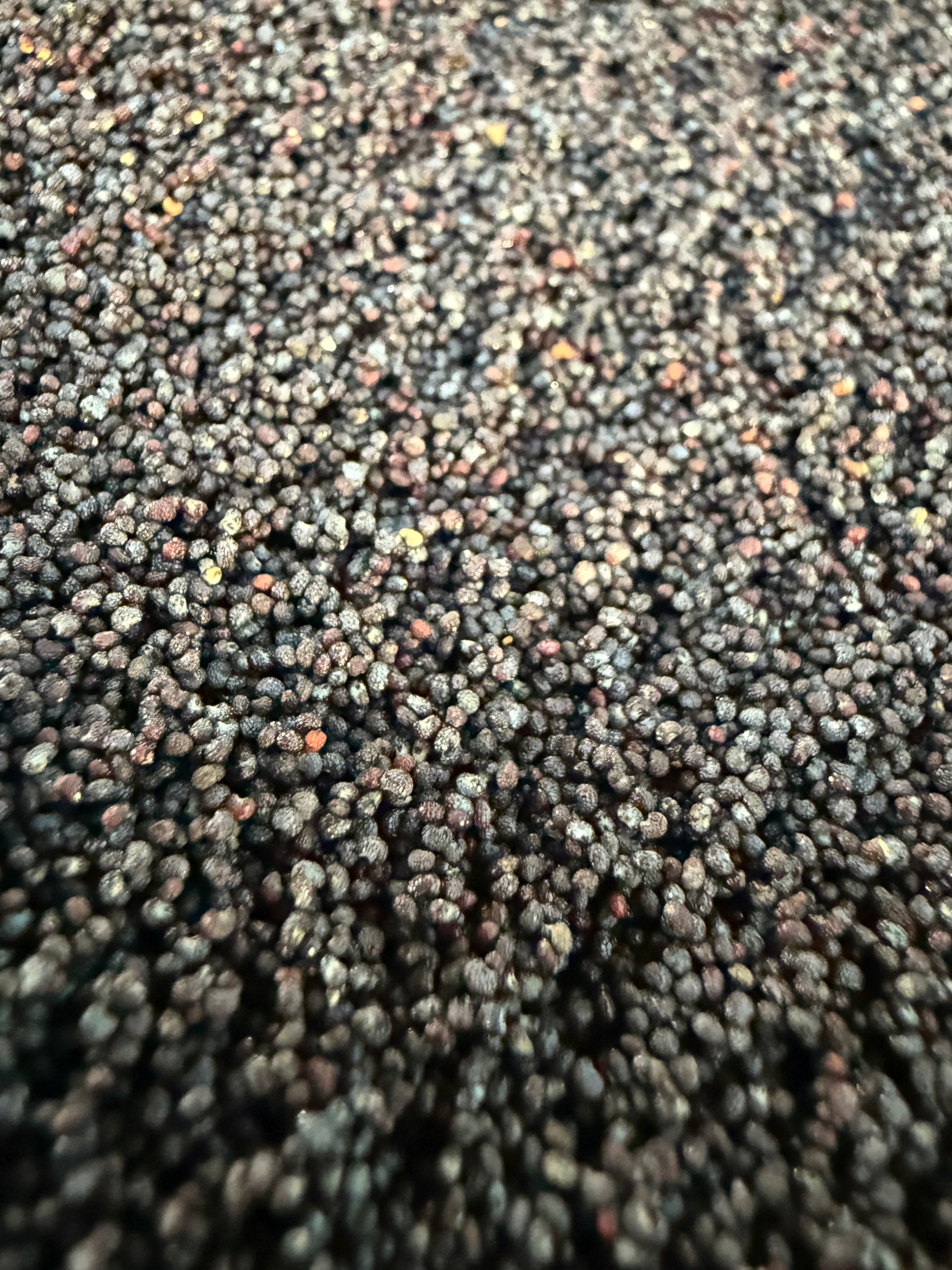 Ripkitty Premium Unwashed Untreated Unprocessed Raw Organic Natural Whole Papaver Somniferum Culinary Poppy Seeds