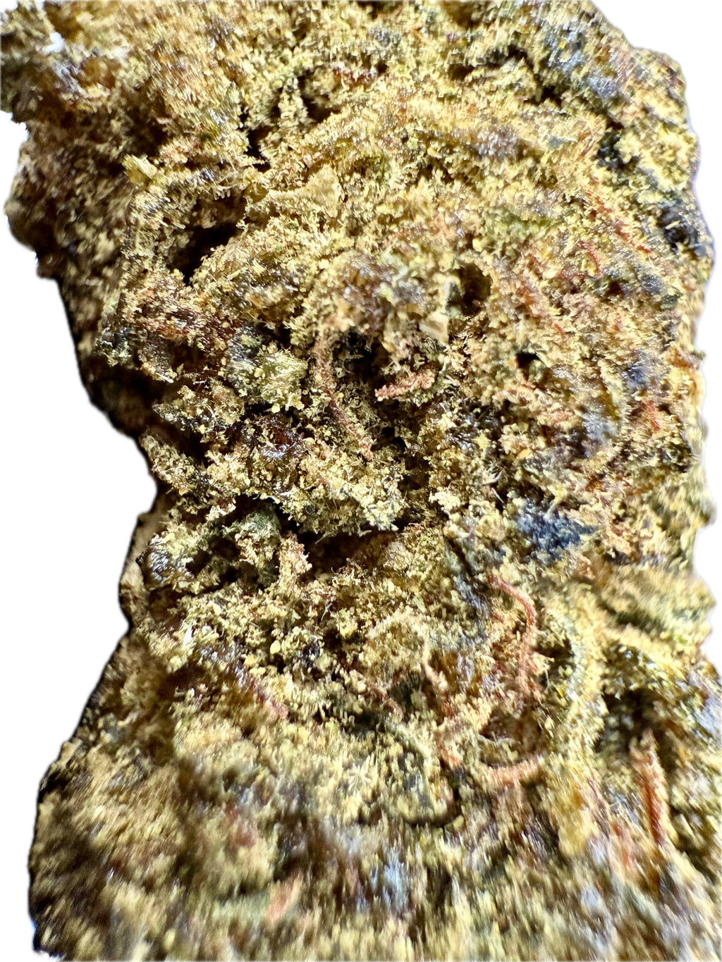 Ripkitty Sour Hawaiian Haze HHC Hemp Flowers