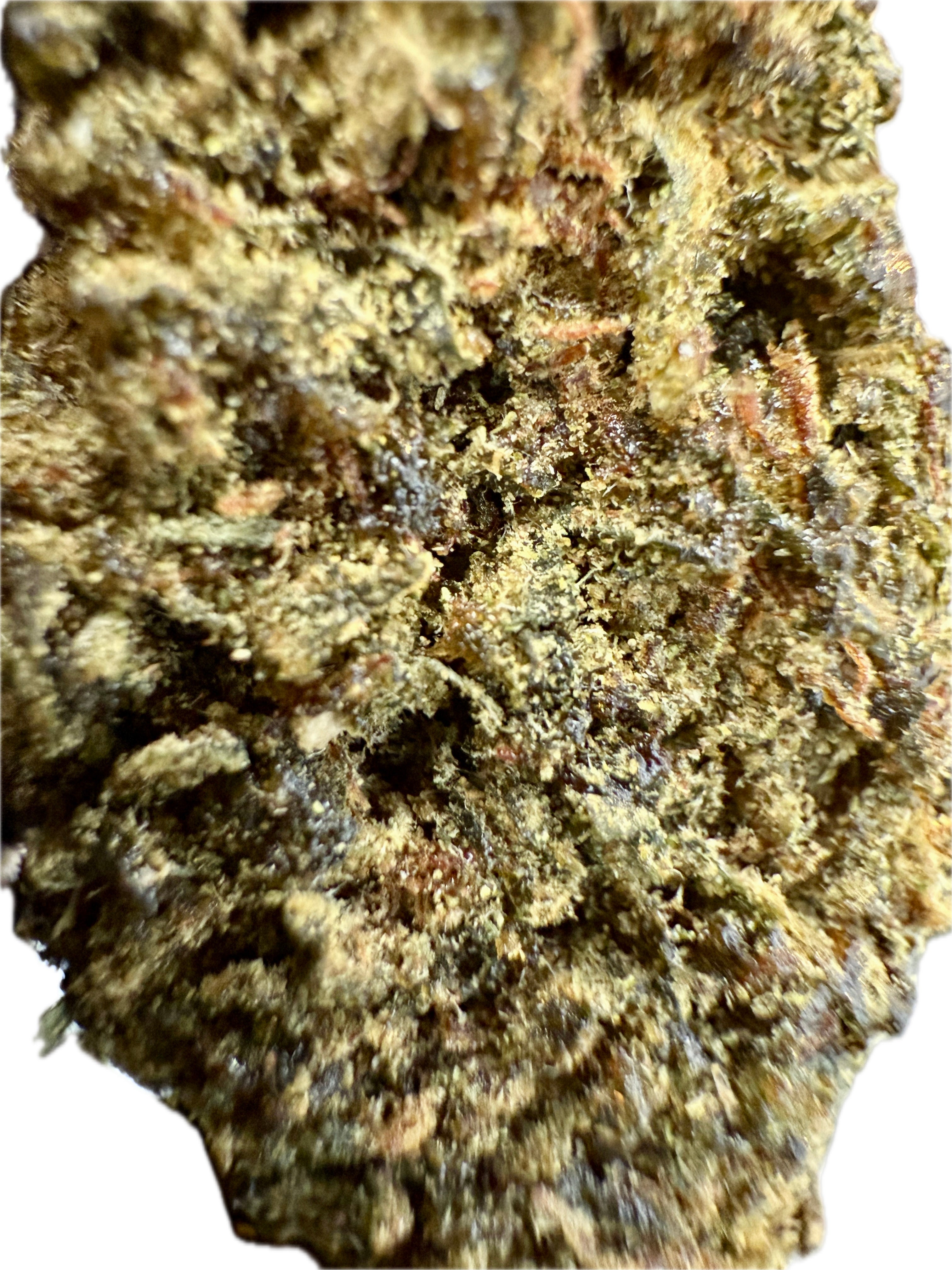 Ripkitty Sour Hawaiian Haze HHC Hemp Flowers