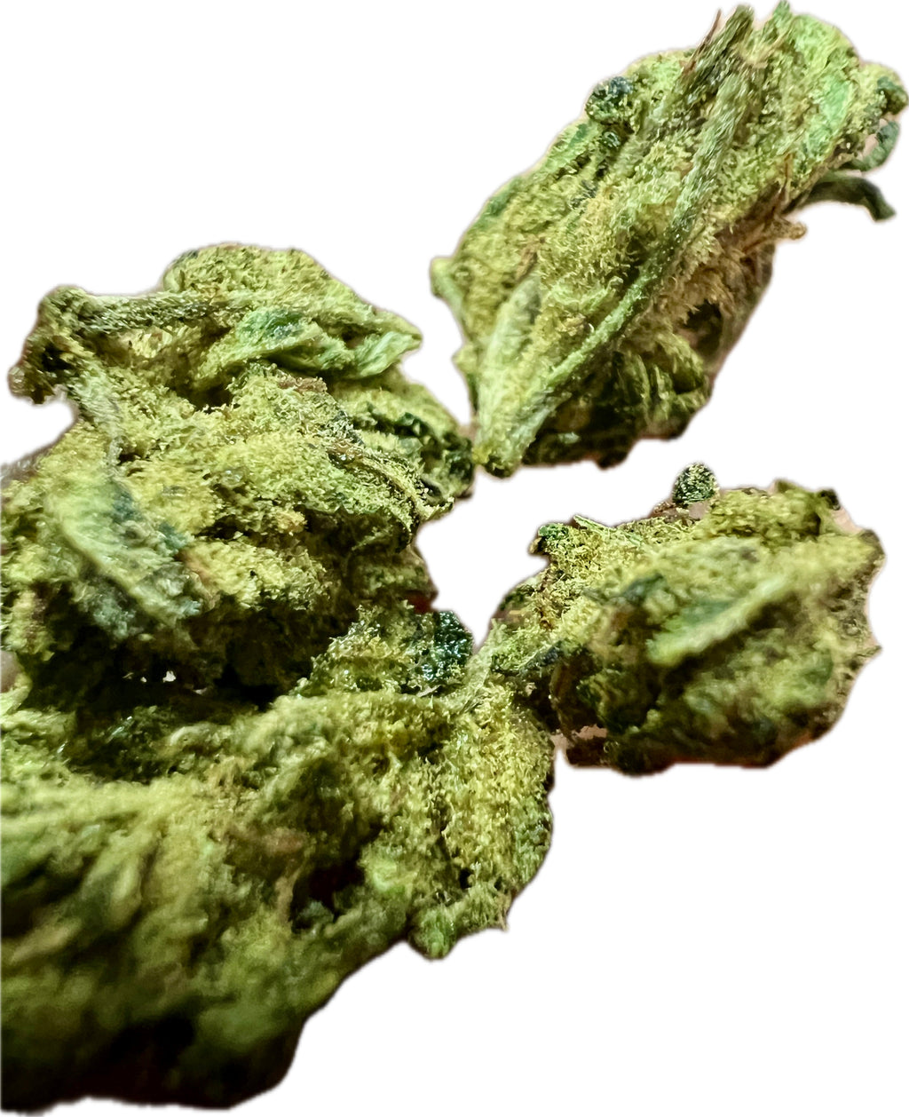 Ripkitty Sour Hawaiian Haze HHC Hemp Flowers