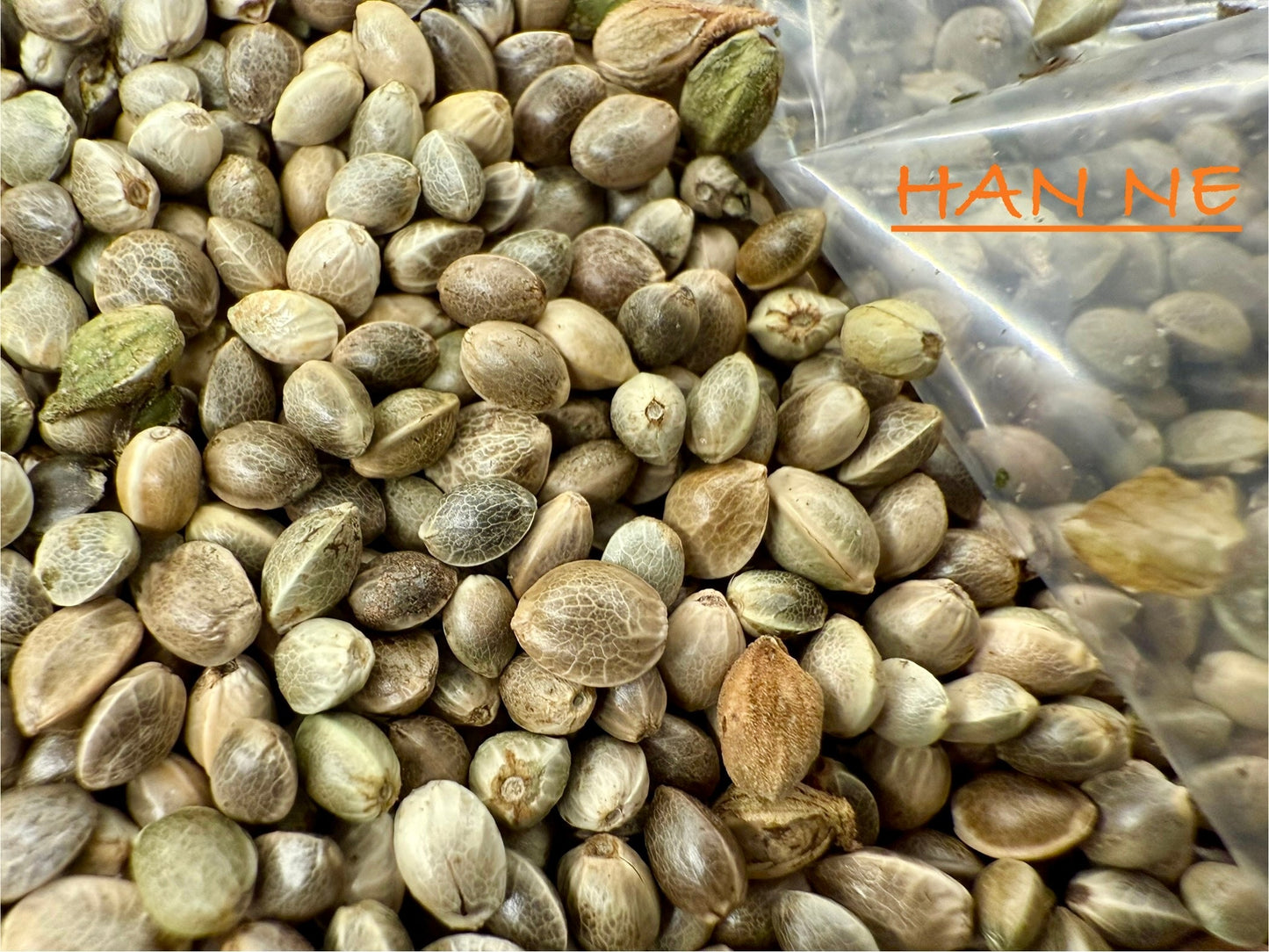 Ripkitty International & Domestic Live Raw Viable CBD Hemp Seeds Sold in Bulk & Single Amounts for Agriculture, Poultry, Equine Feeding, & Livestock