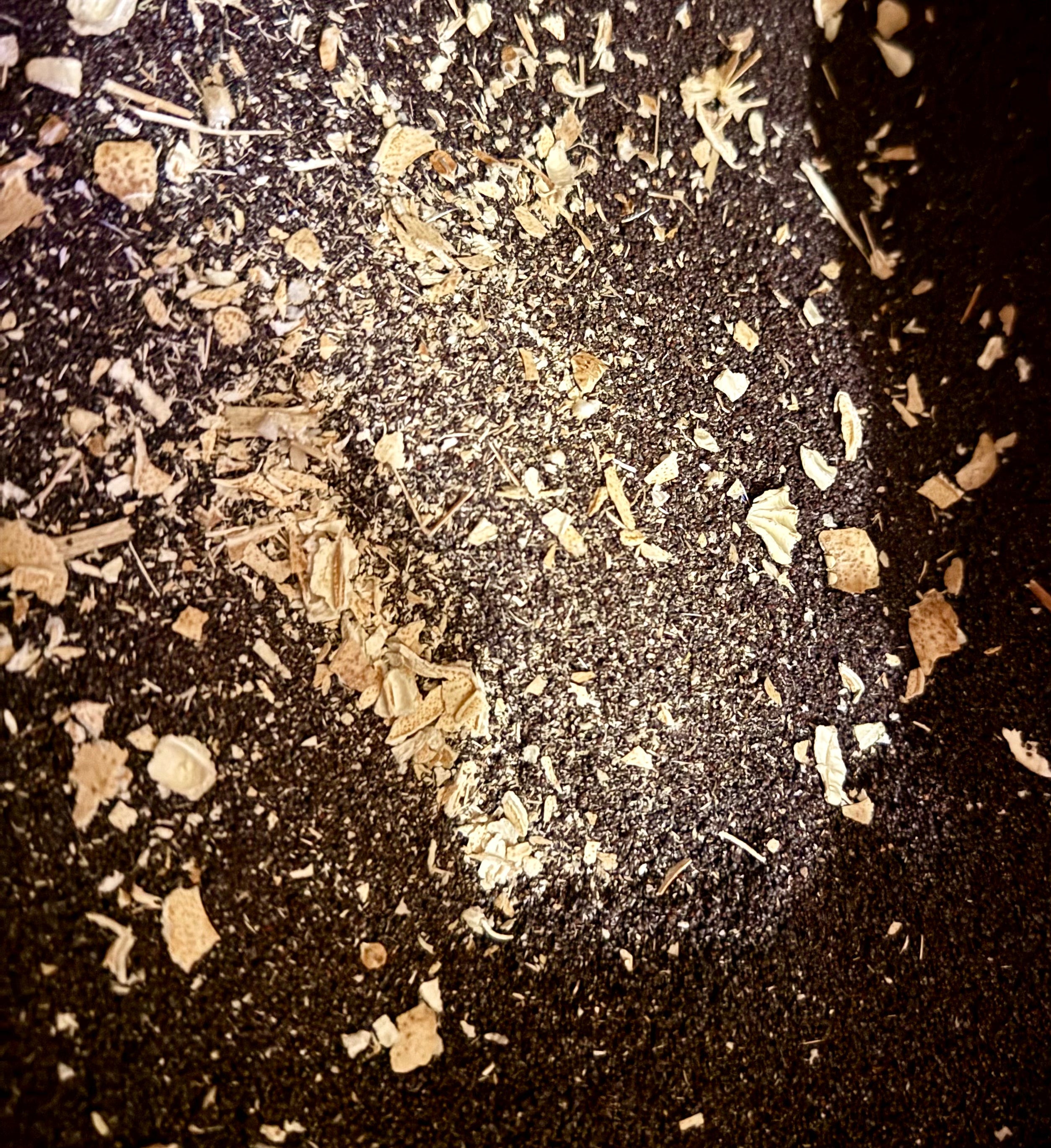 Ripkitty Premium Unwashed Untreated Unprocessed Raw Organic Natural Whole Papaver Somniferum Culinary Poppy Seeds