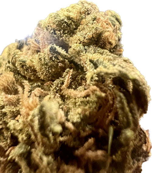 Ripkitty Fruity Tooties CBD Hemp Flowers