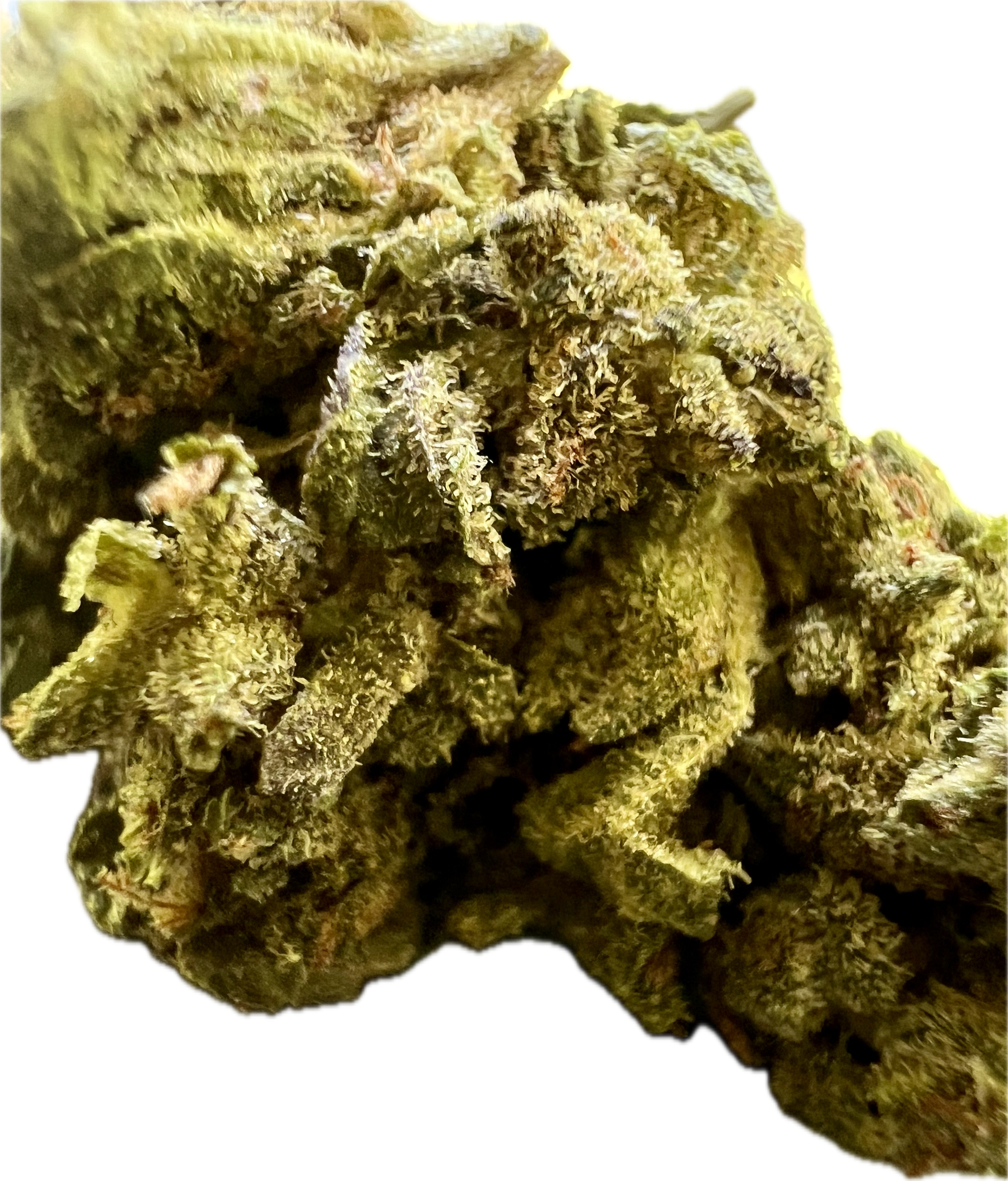 Ripkitty Mendo Breath THCA Hemp Flowers