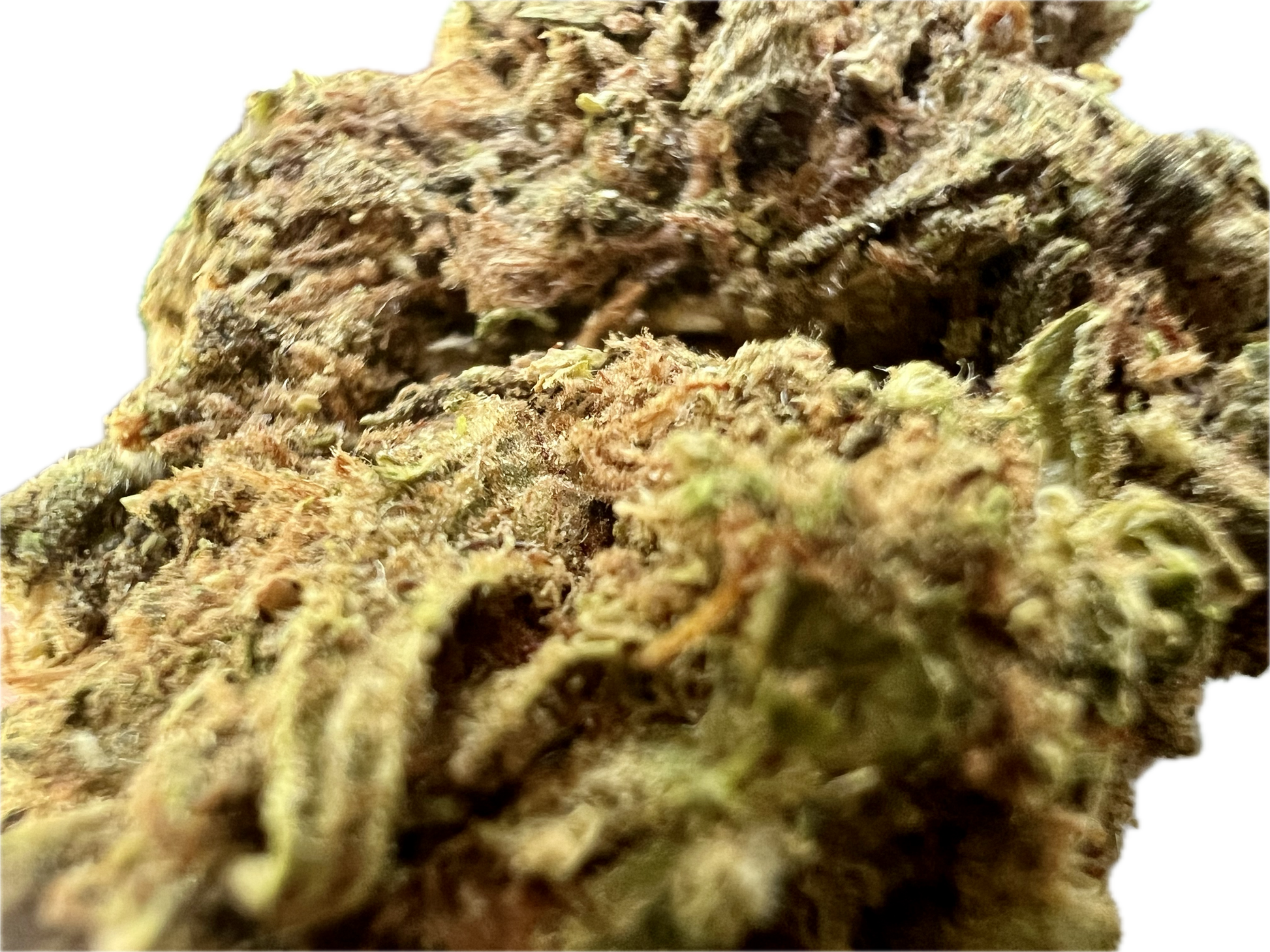 Ripkitty Runtz OG THCA Hemp Flowers 7G