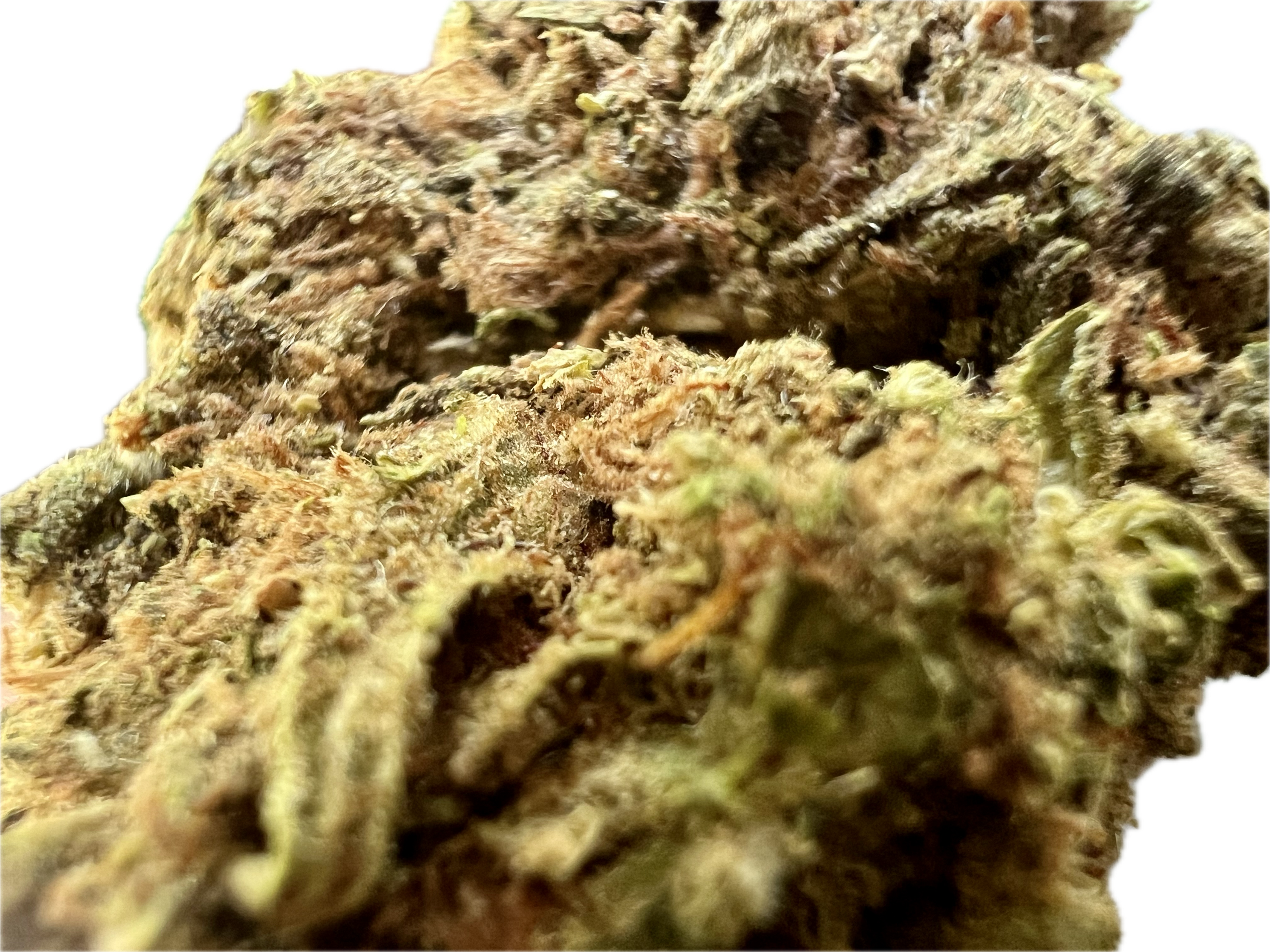 Ripkitty Runtz OG THCA Hemp Flowers 7G