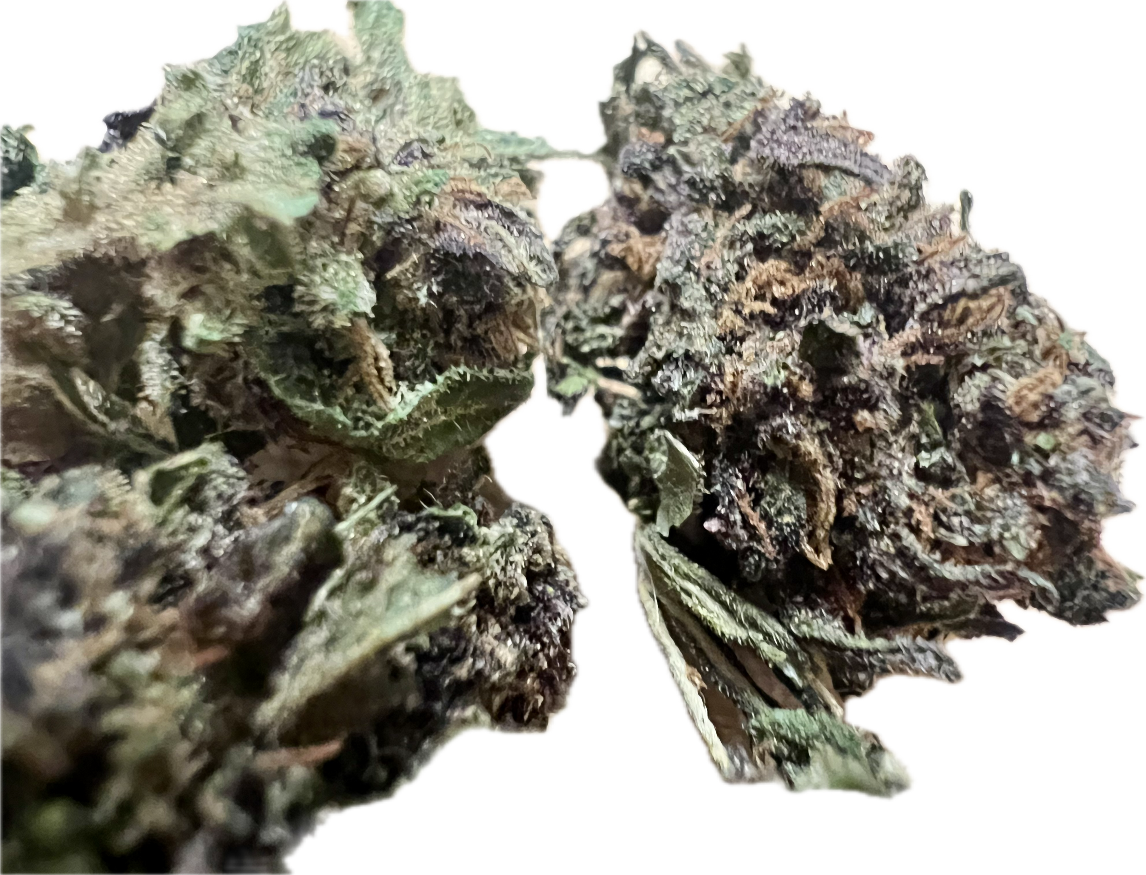 Ripkitty Legendary Platinum OG CBD Hemp Flowers